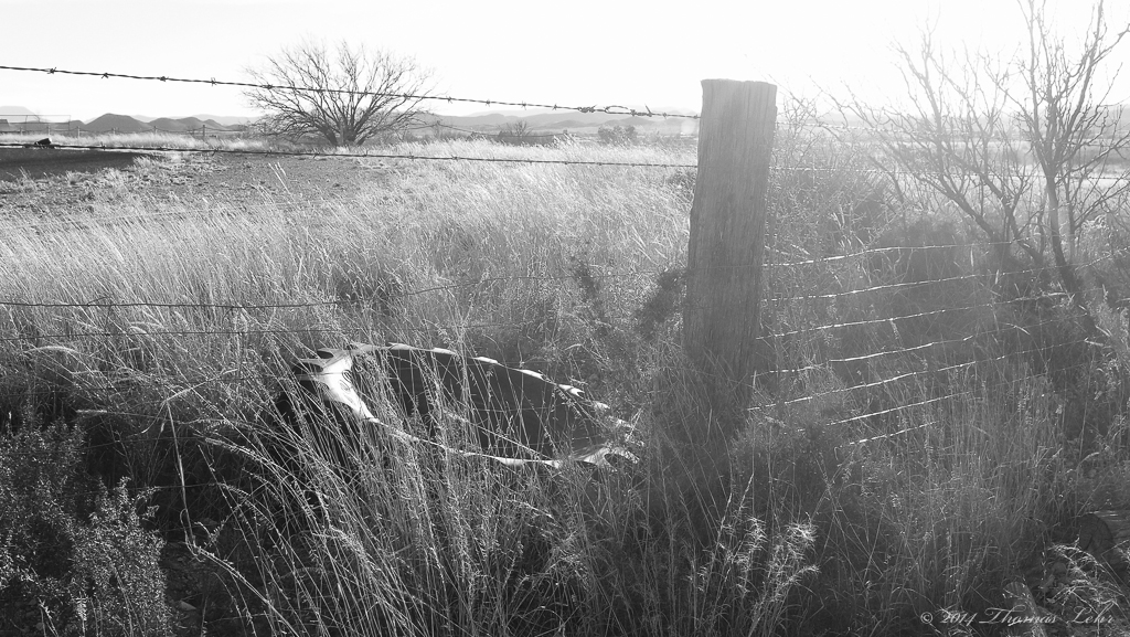 we kick stones along the lane