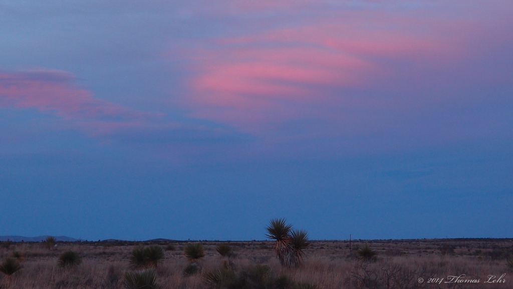 We have escaped the bitterness