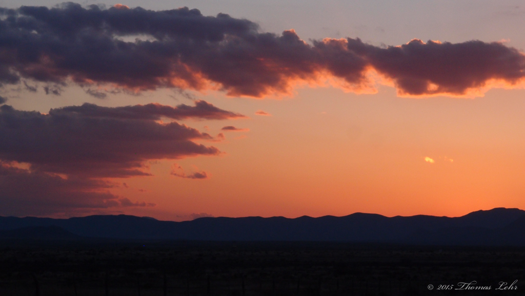 in the interval between vulture