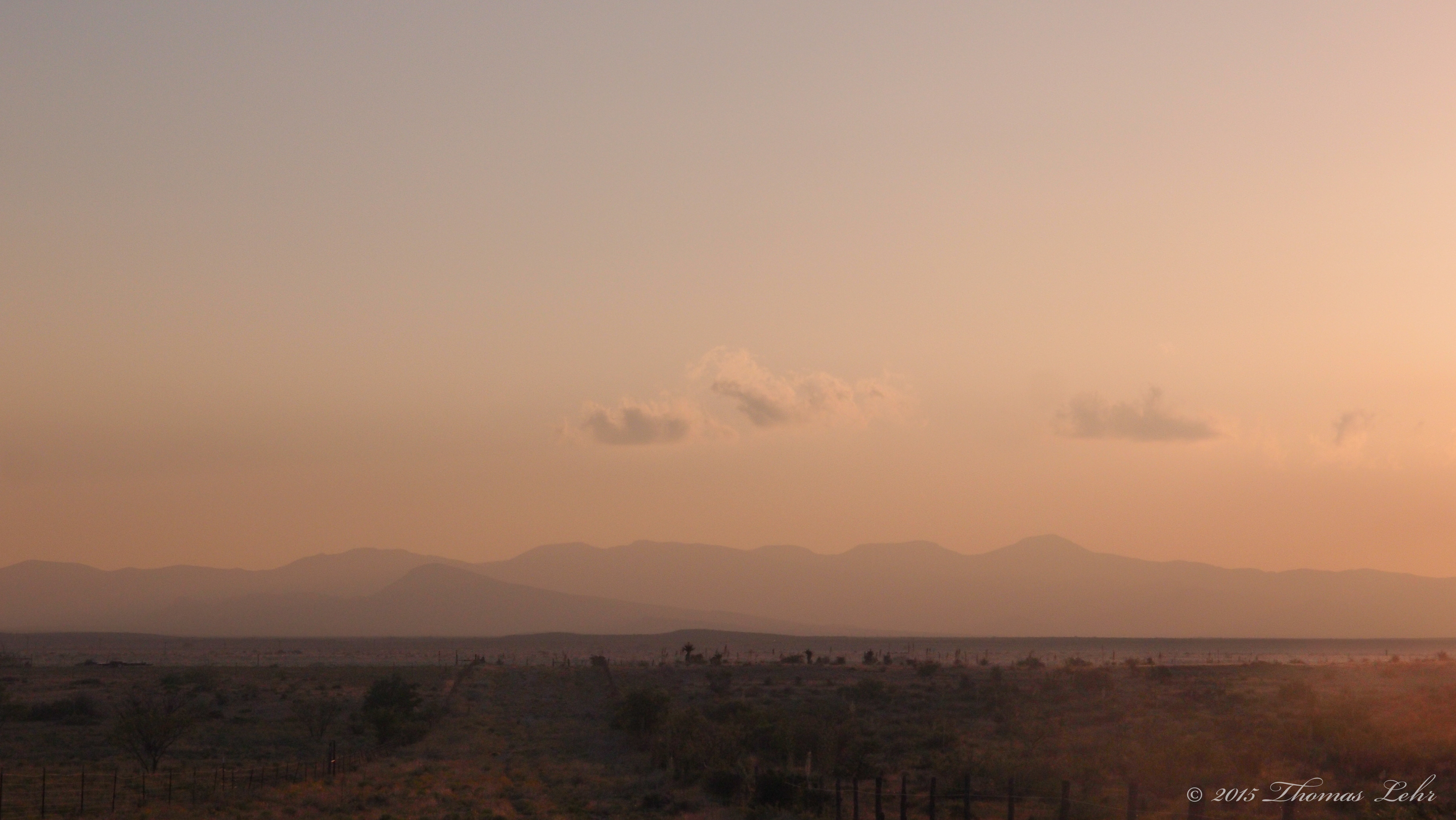 In the mornings I am greedy for silence. In the afternoons &