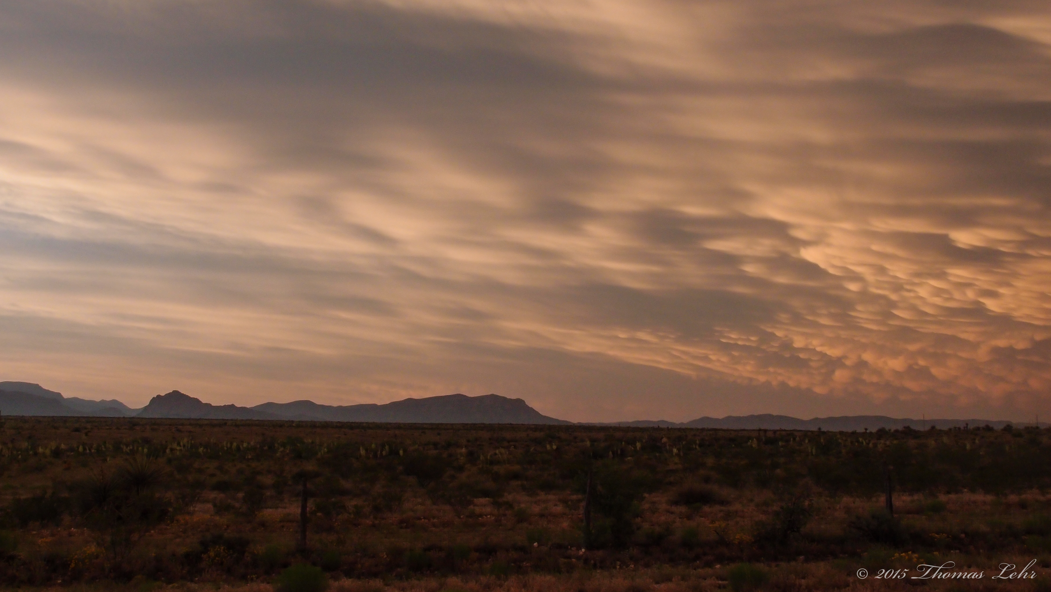 The wheeling sky sees all