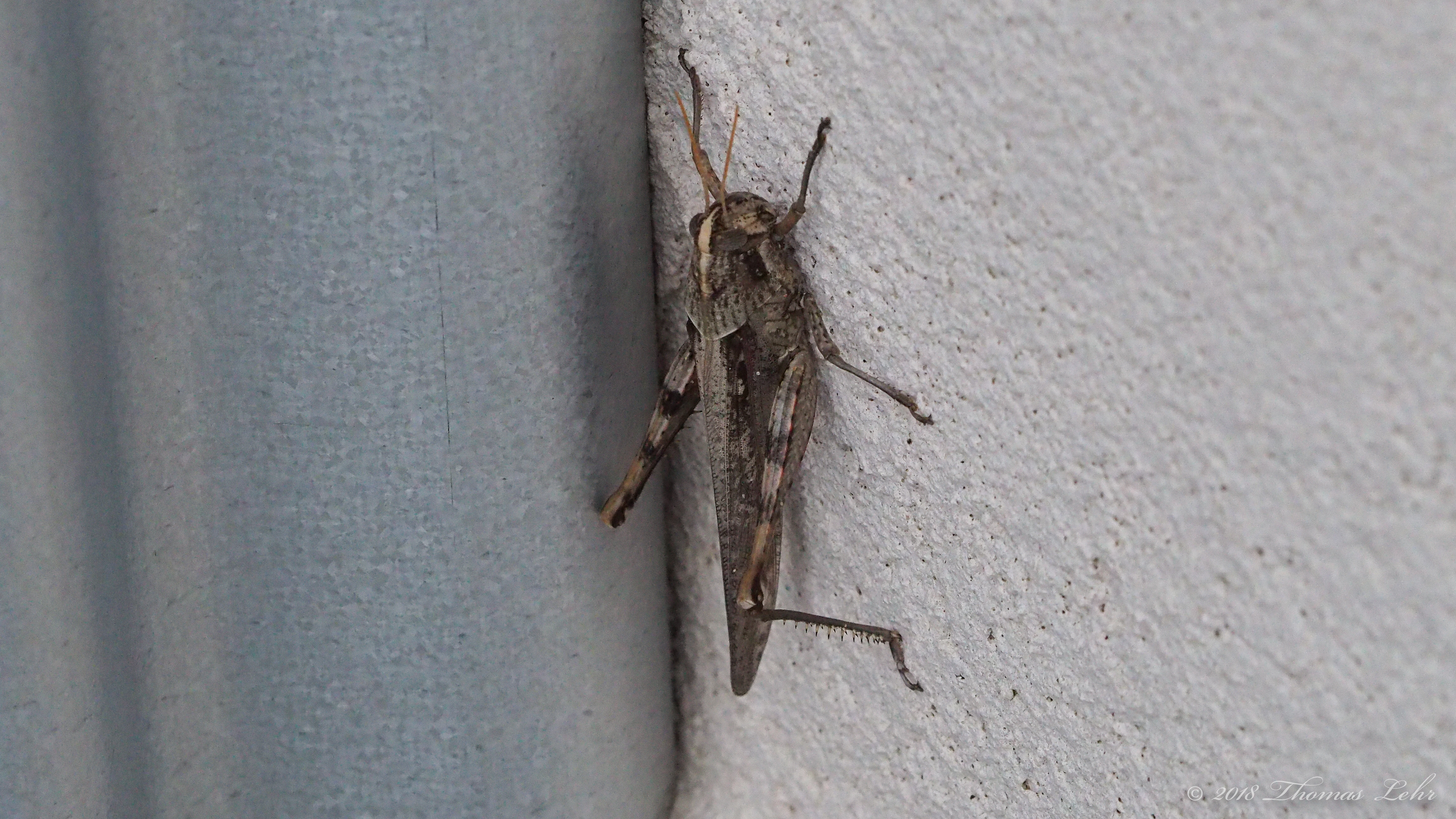 I live a small life, barely bigger than a speck,