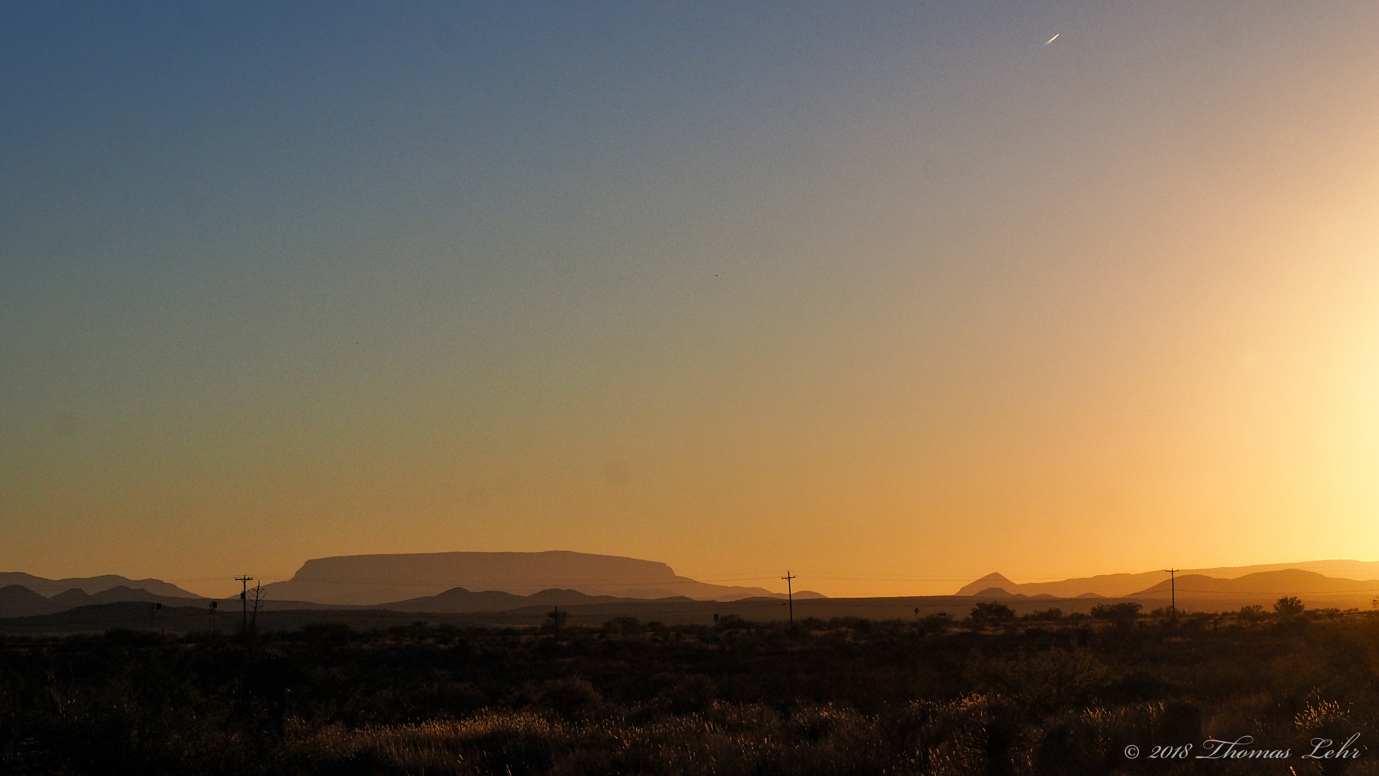 Living creatures believe they own