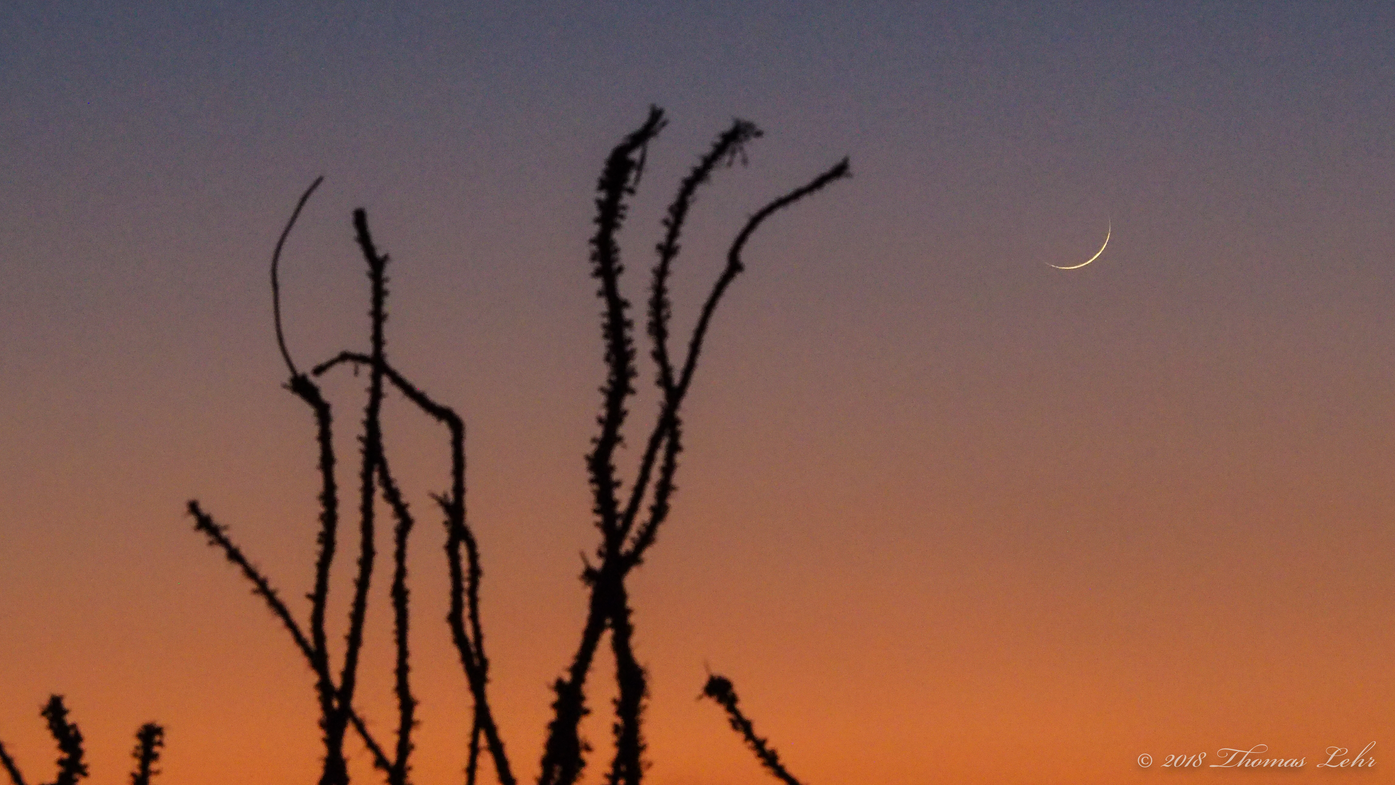 This spirit she came upon me as I slept — in such a way