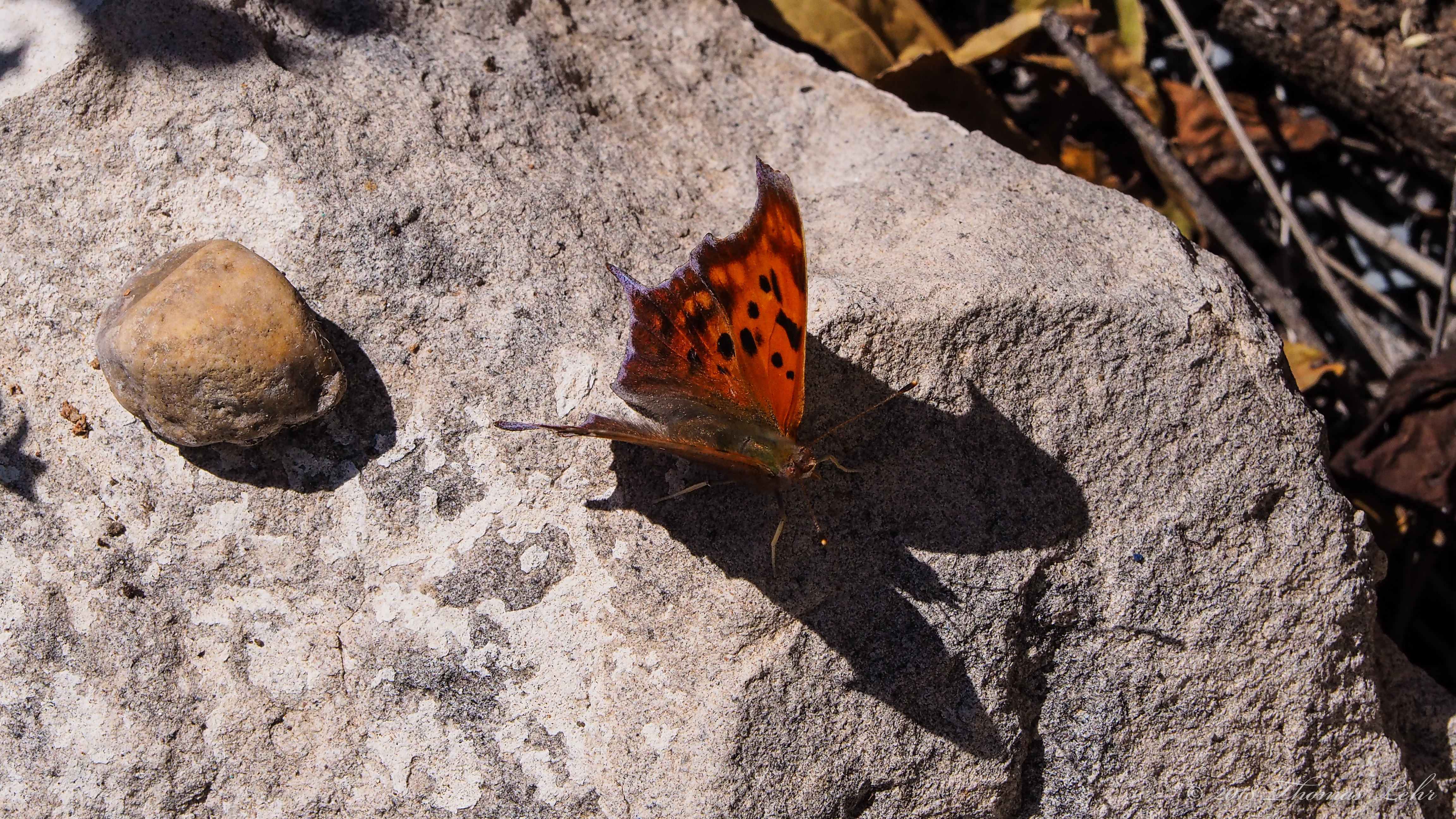 hope what is it be honest with me