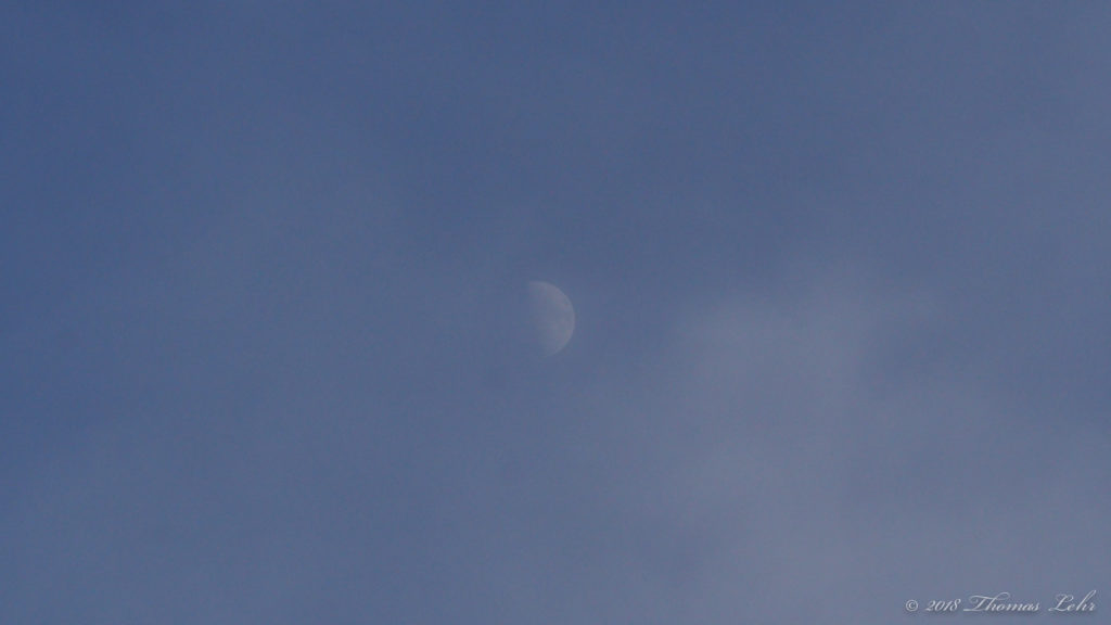 Getting the hang of itself would undo it. —Denise Riley