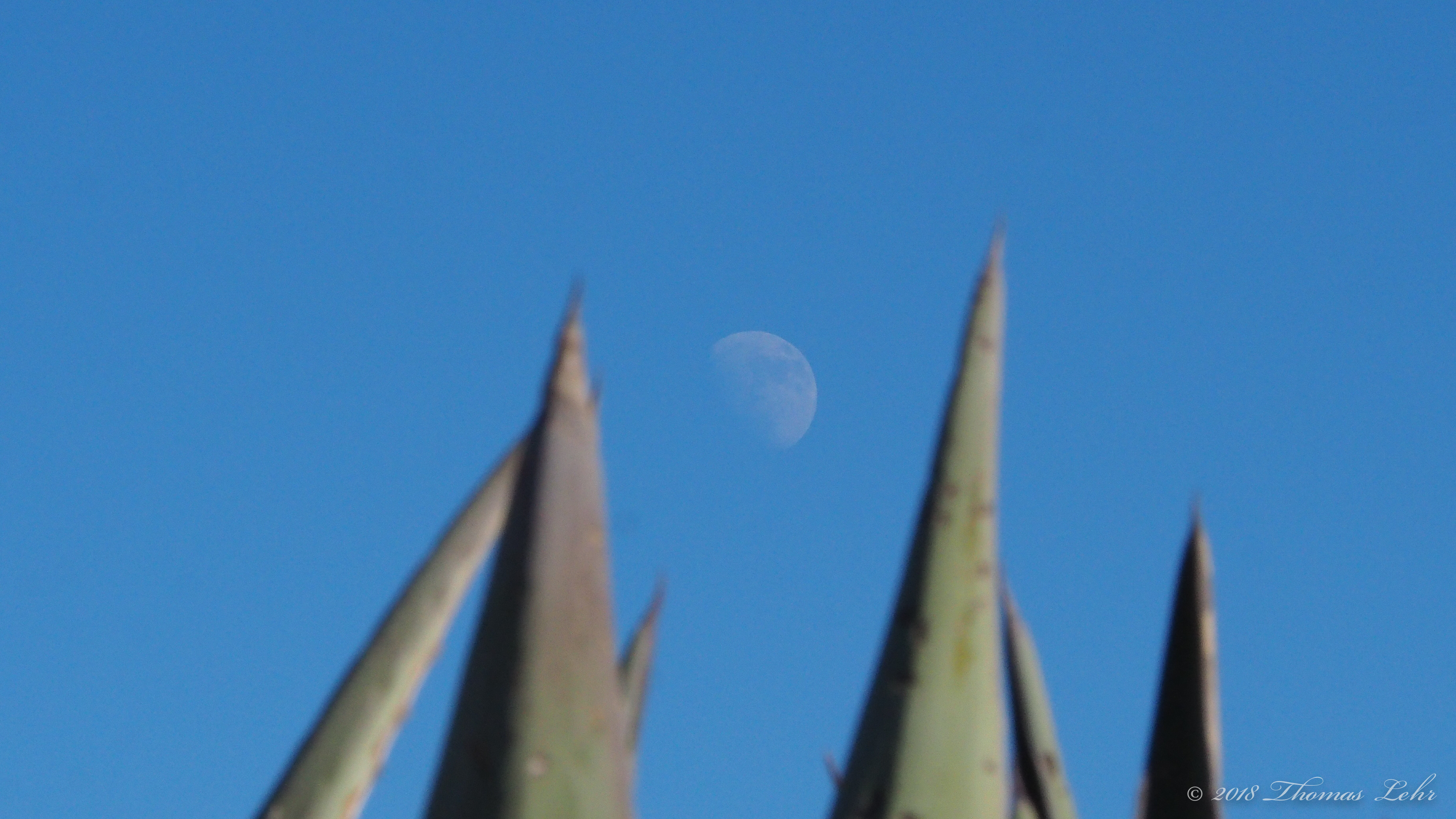 Ah, you bonus illumination in this vast multiplying apart.