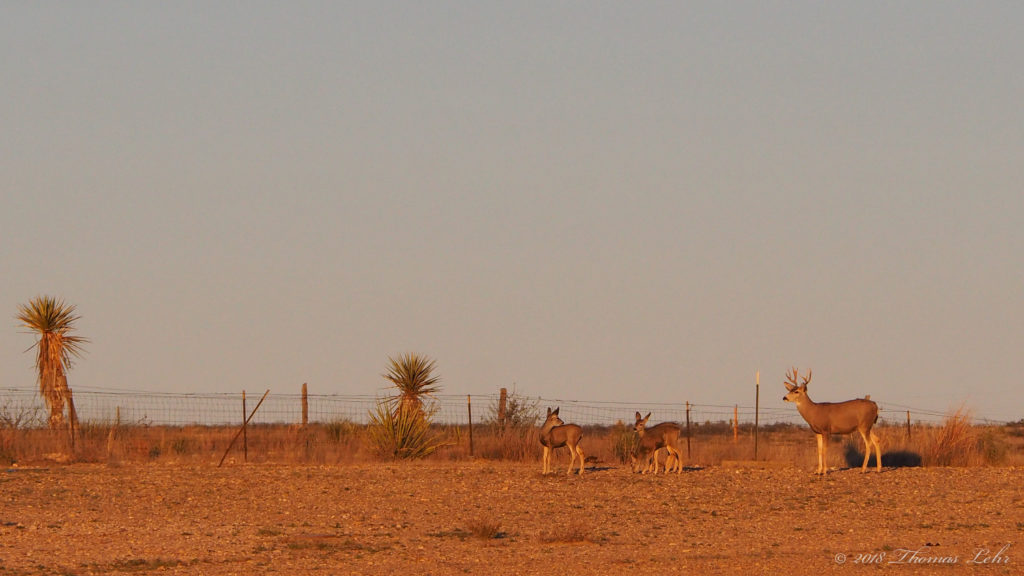 You—all of you—dying trillions of times every hour