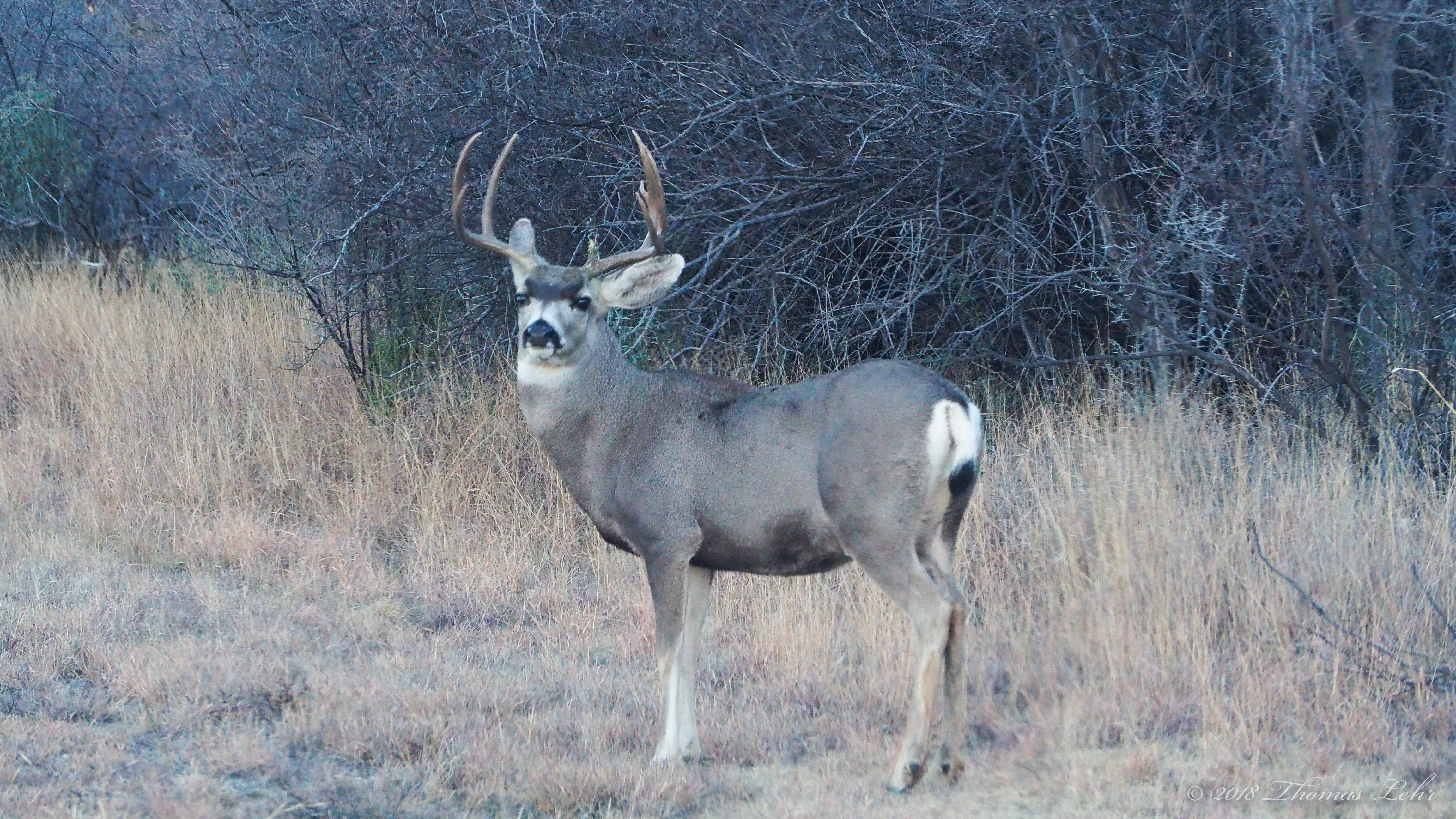 We have to use a spell to make them balance: