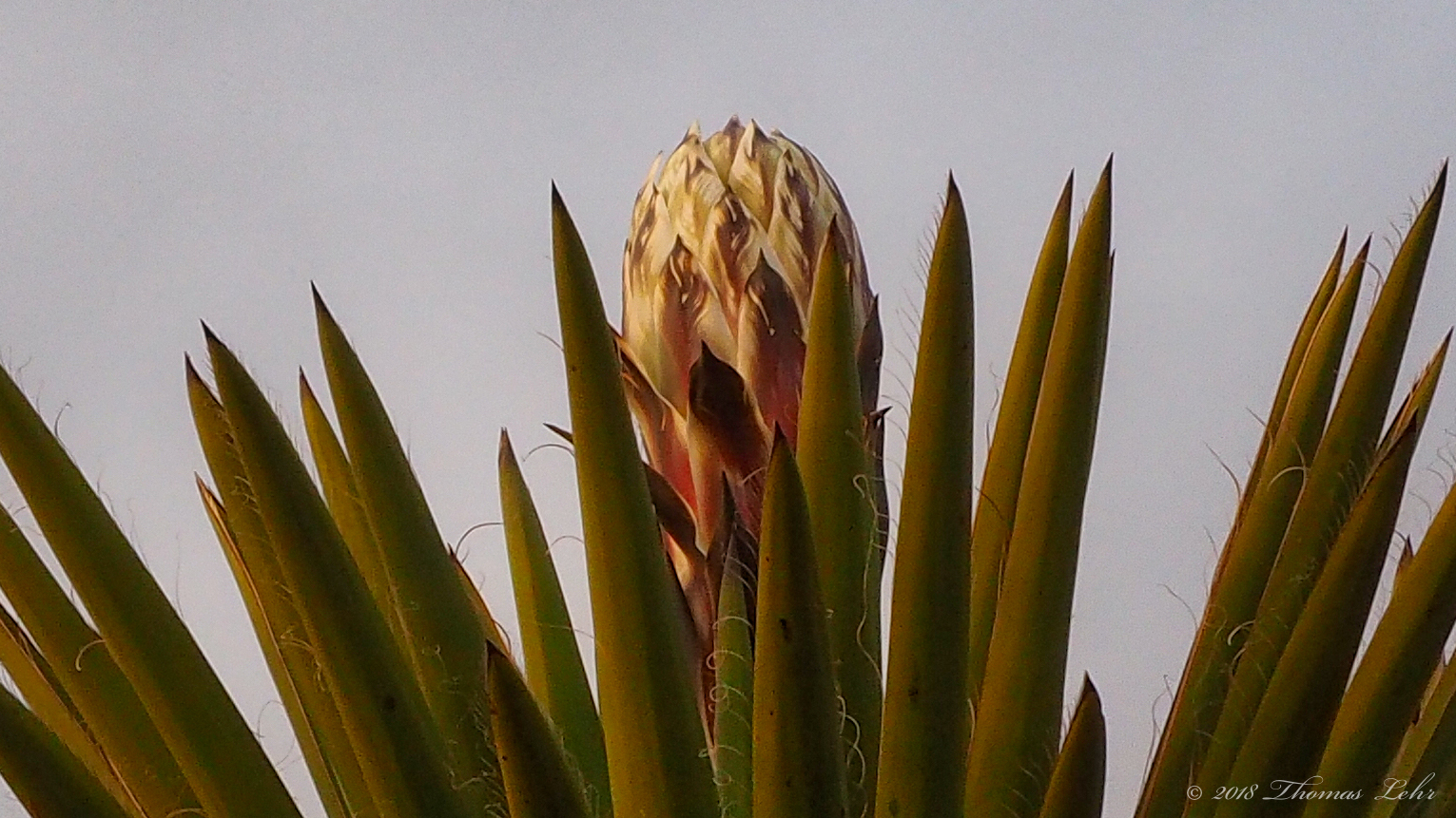 Draw a circle with a piece of chalk. Imagine standing in a constant cone