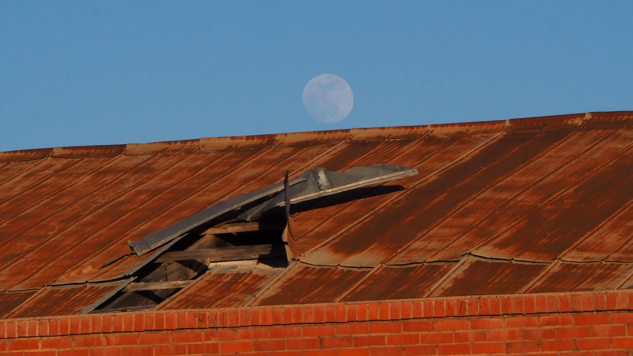 Lo, and I have discovered