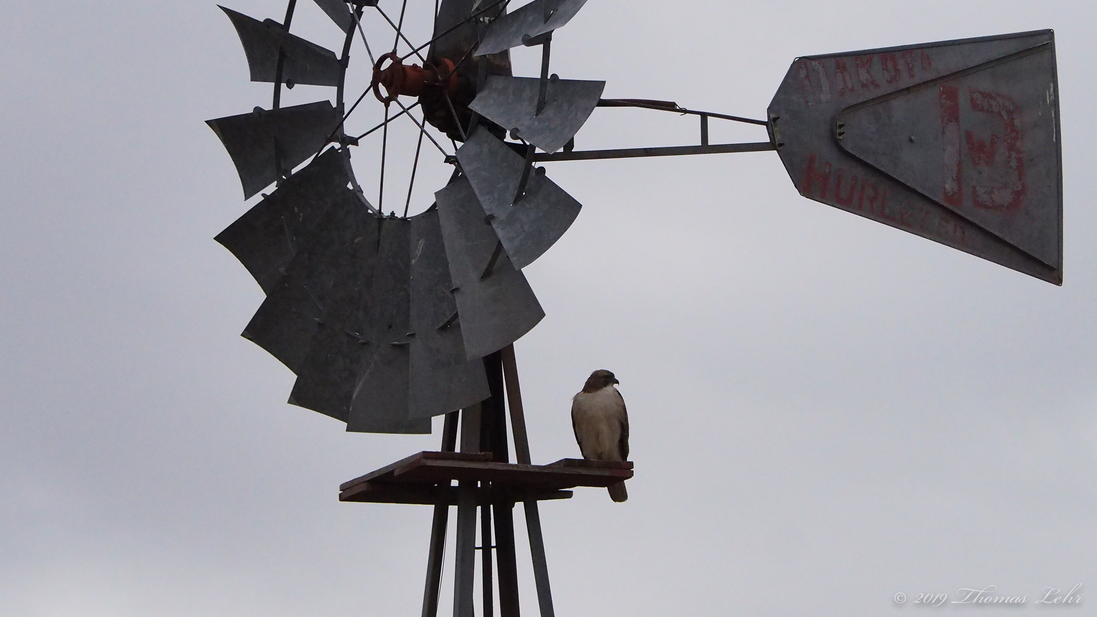 1/10/’28. Tonight I shall enter my life