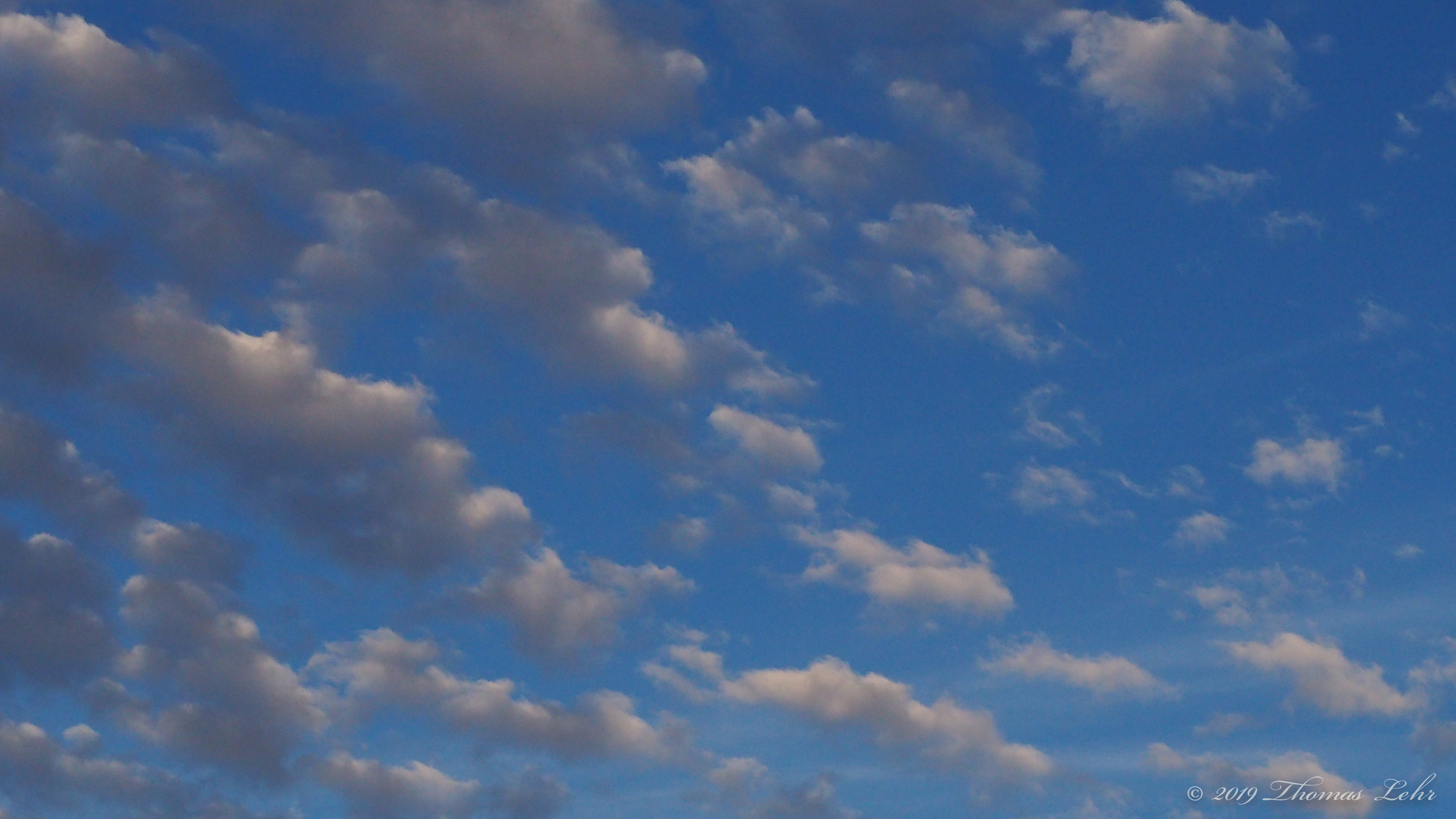 let seven men touch your poem.