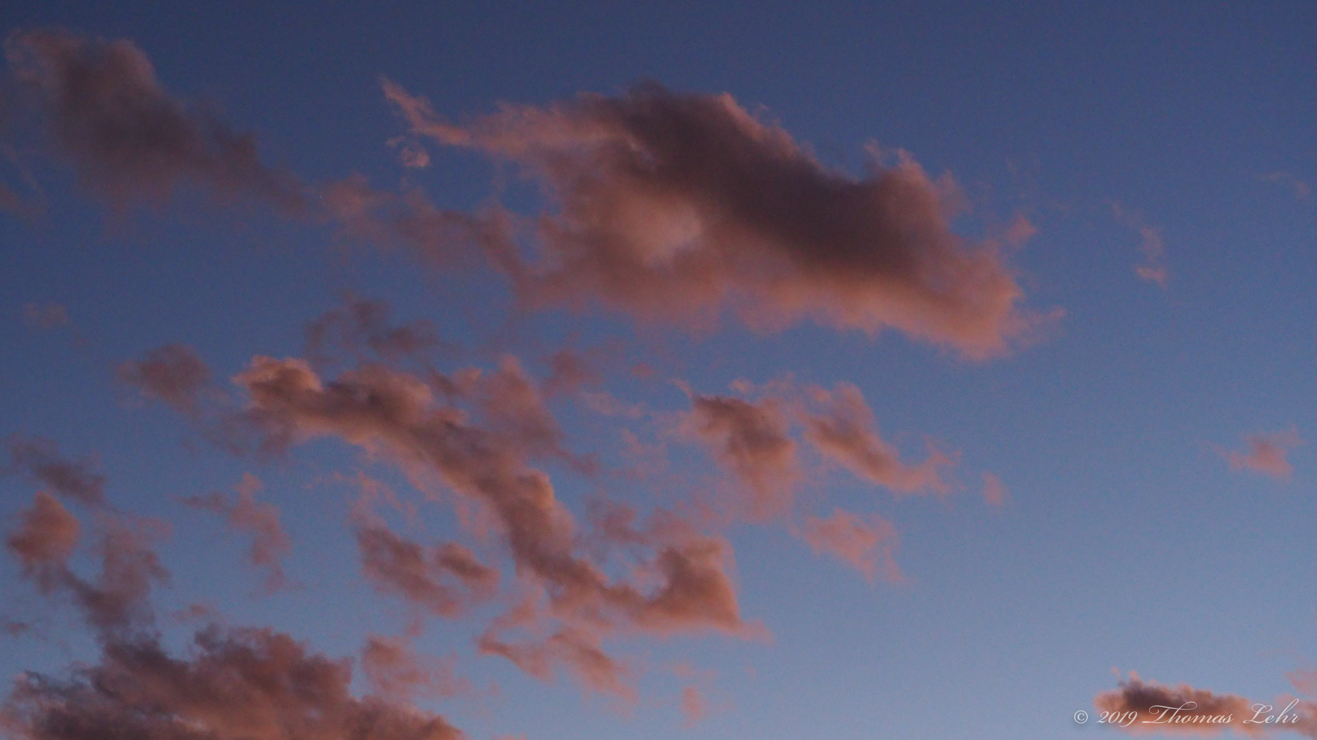 … She carried a basket