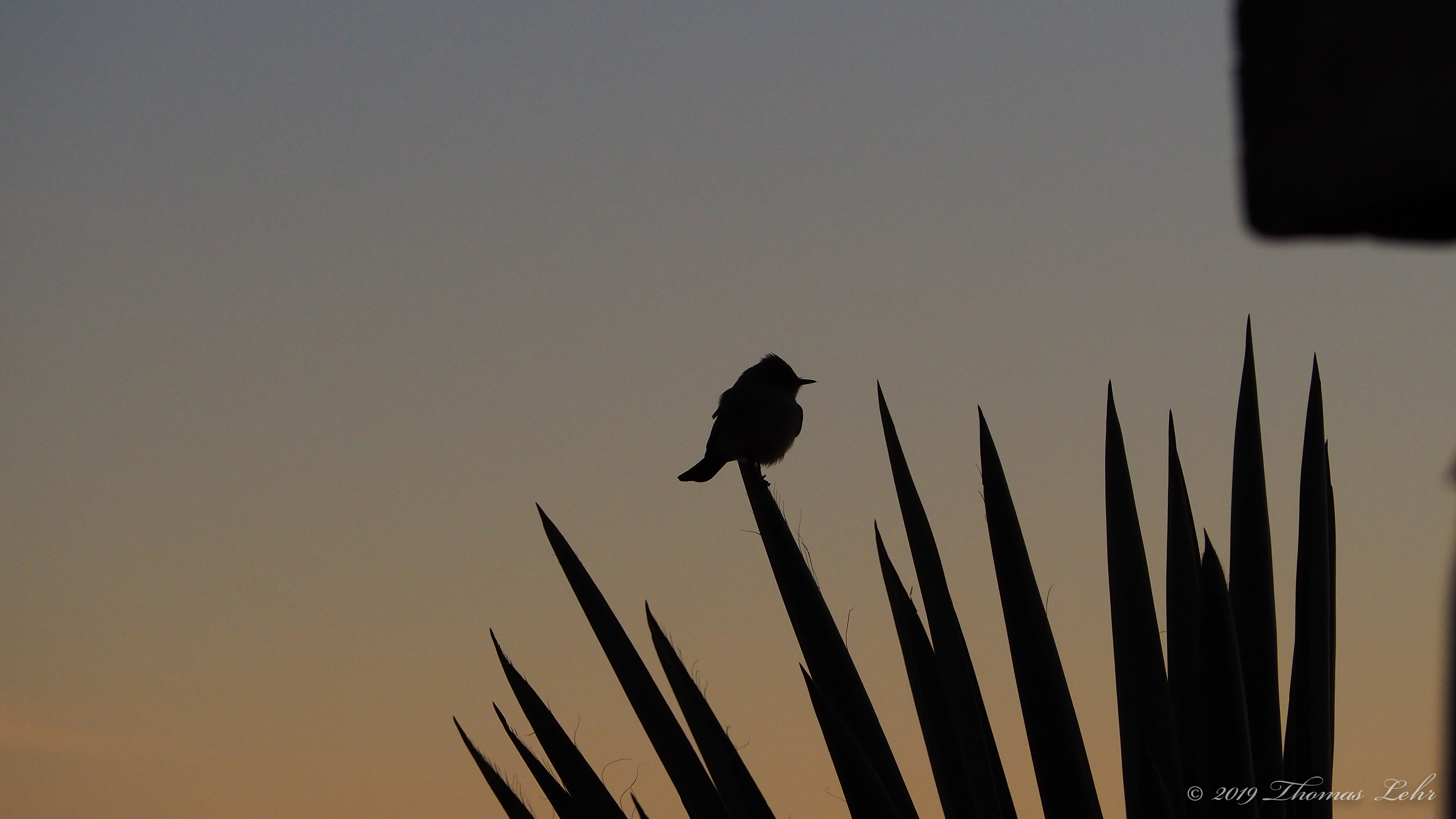 different from heaven, being