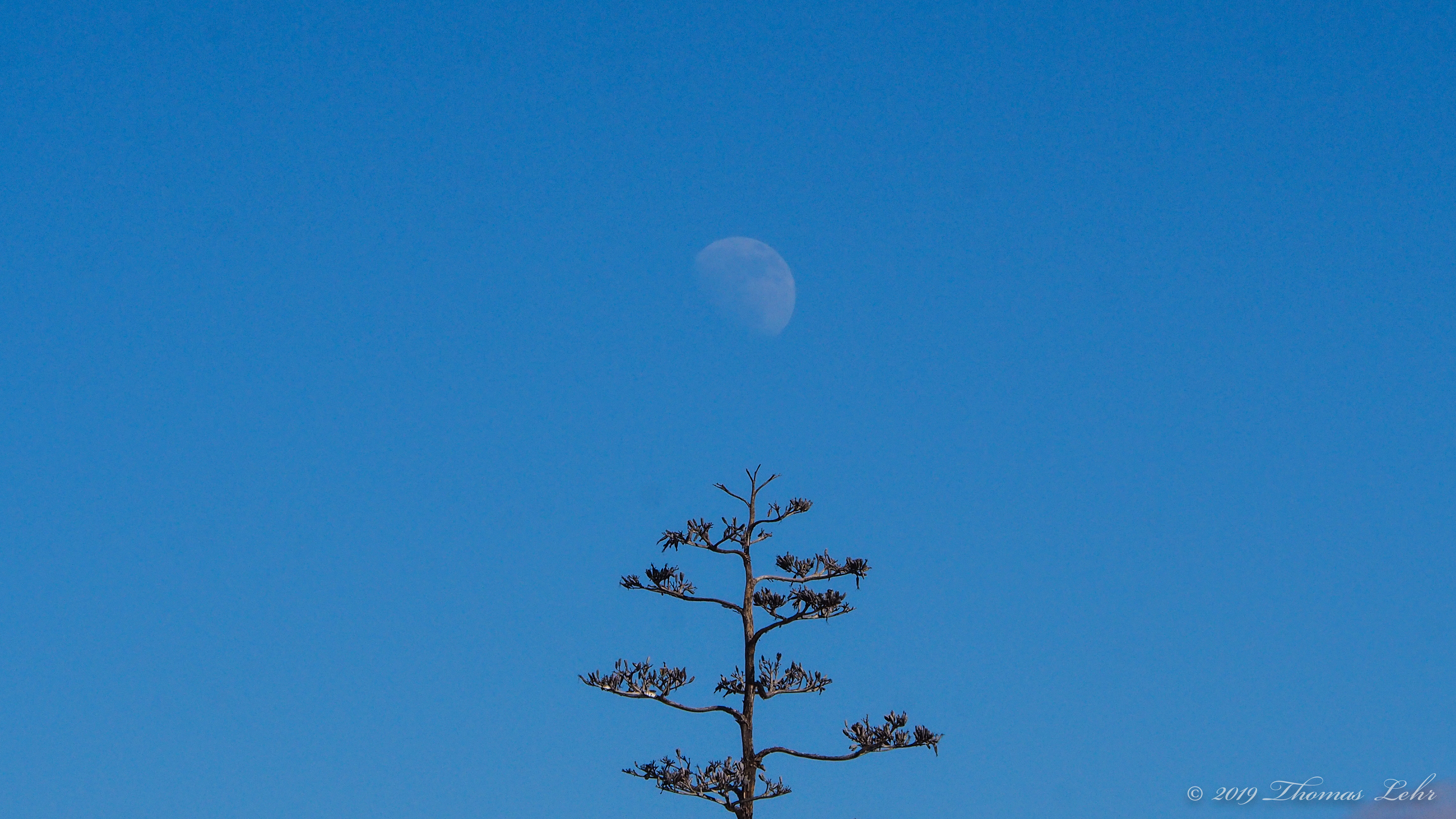 The purpose of poetry is to remind us