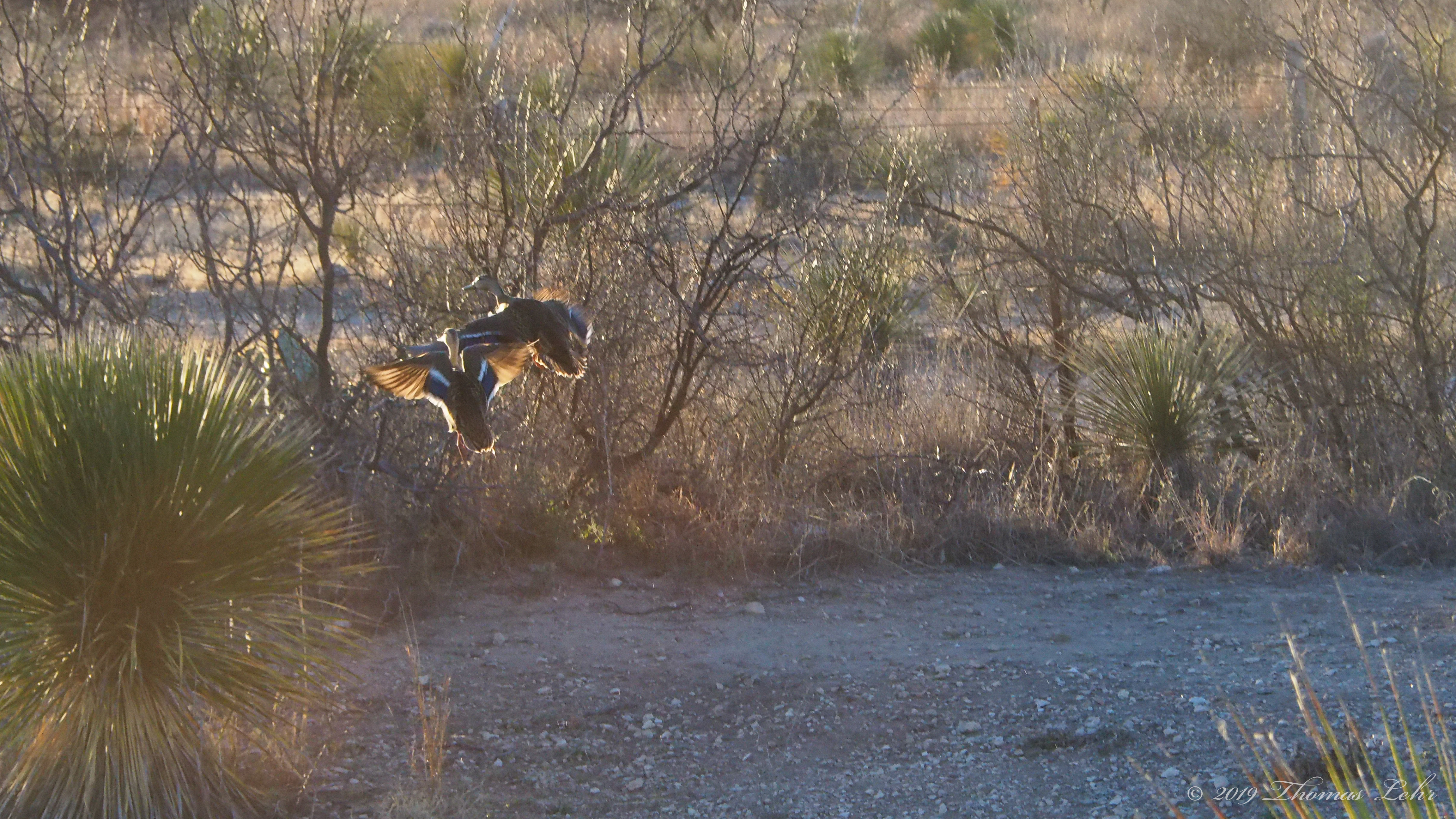 yet why write if not for