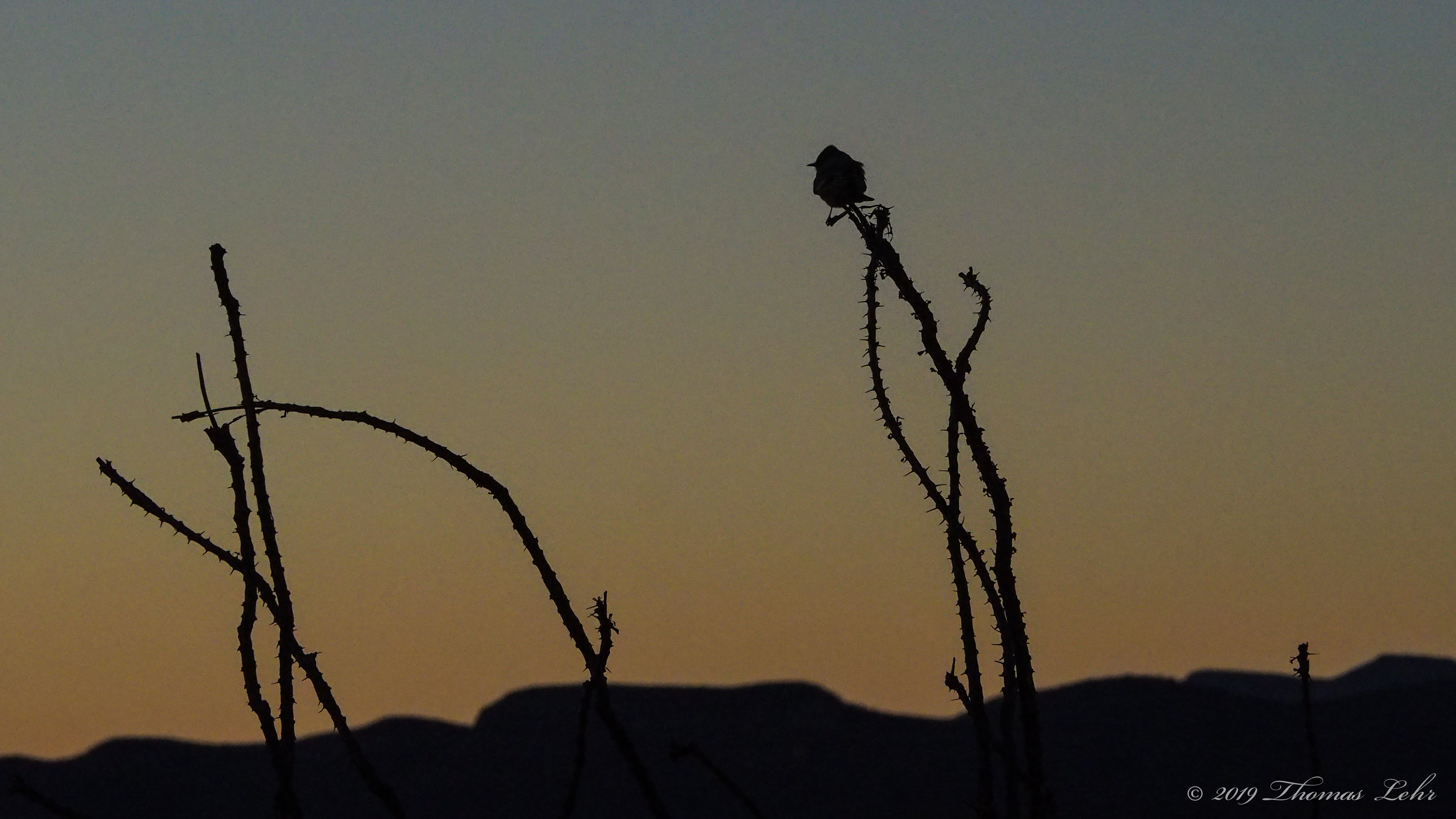 And I will play for you