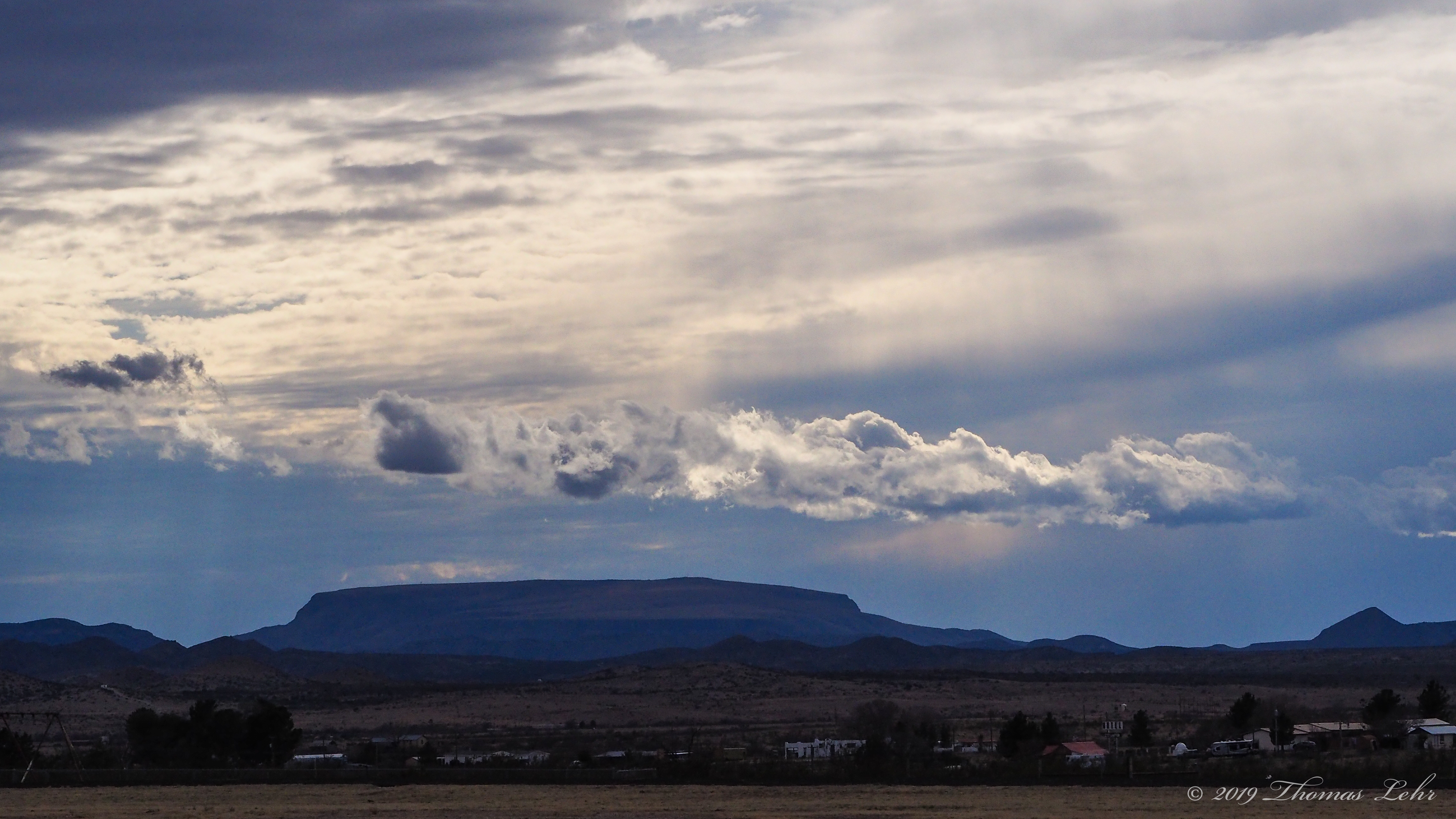 You can have the purr of the cat and the soulful look