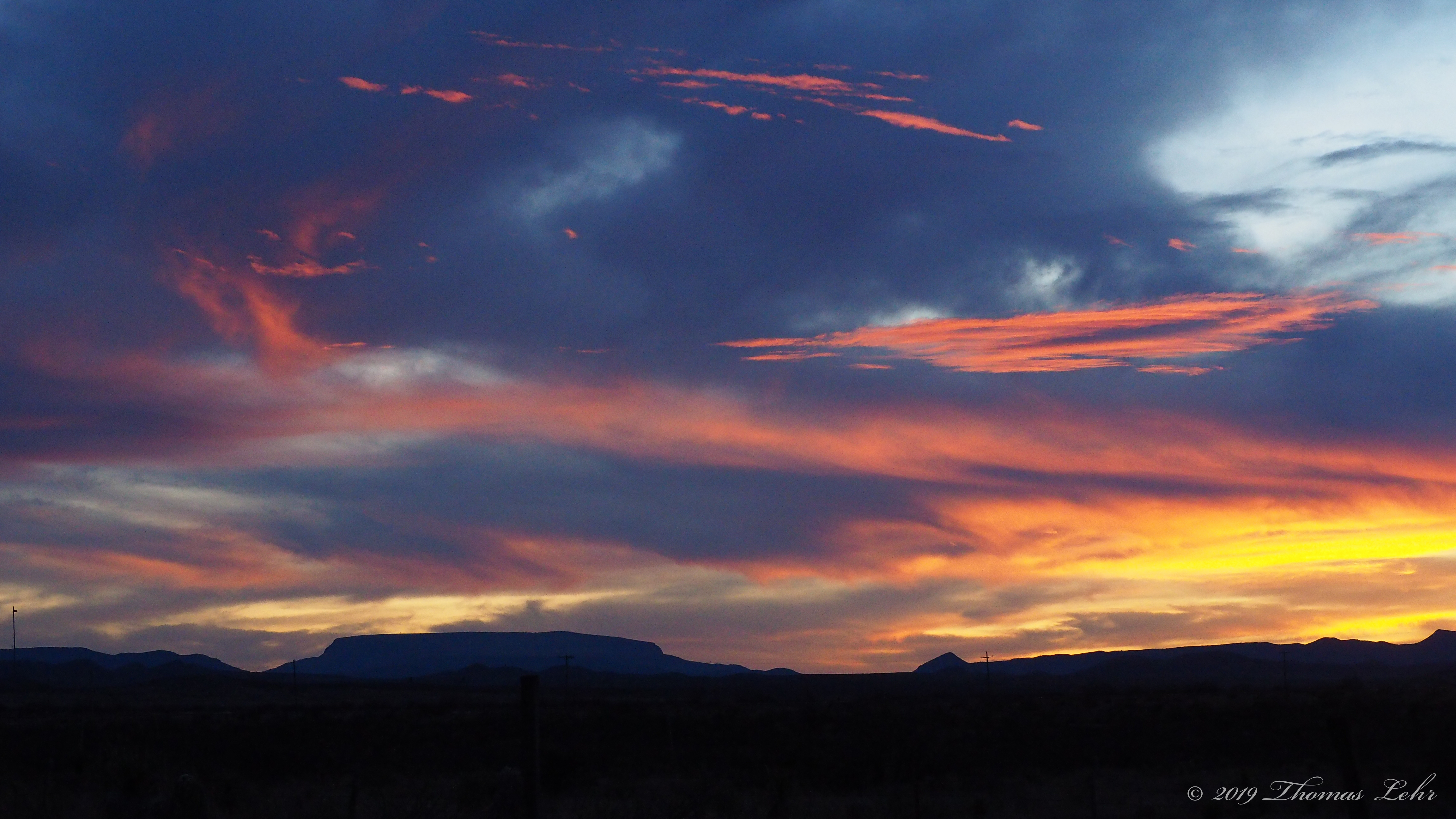 A bird and a tree say to him: Friend.