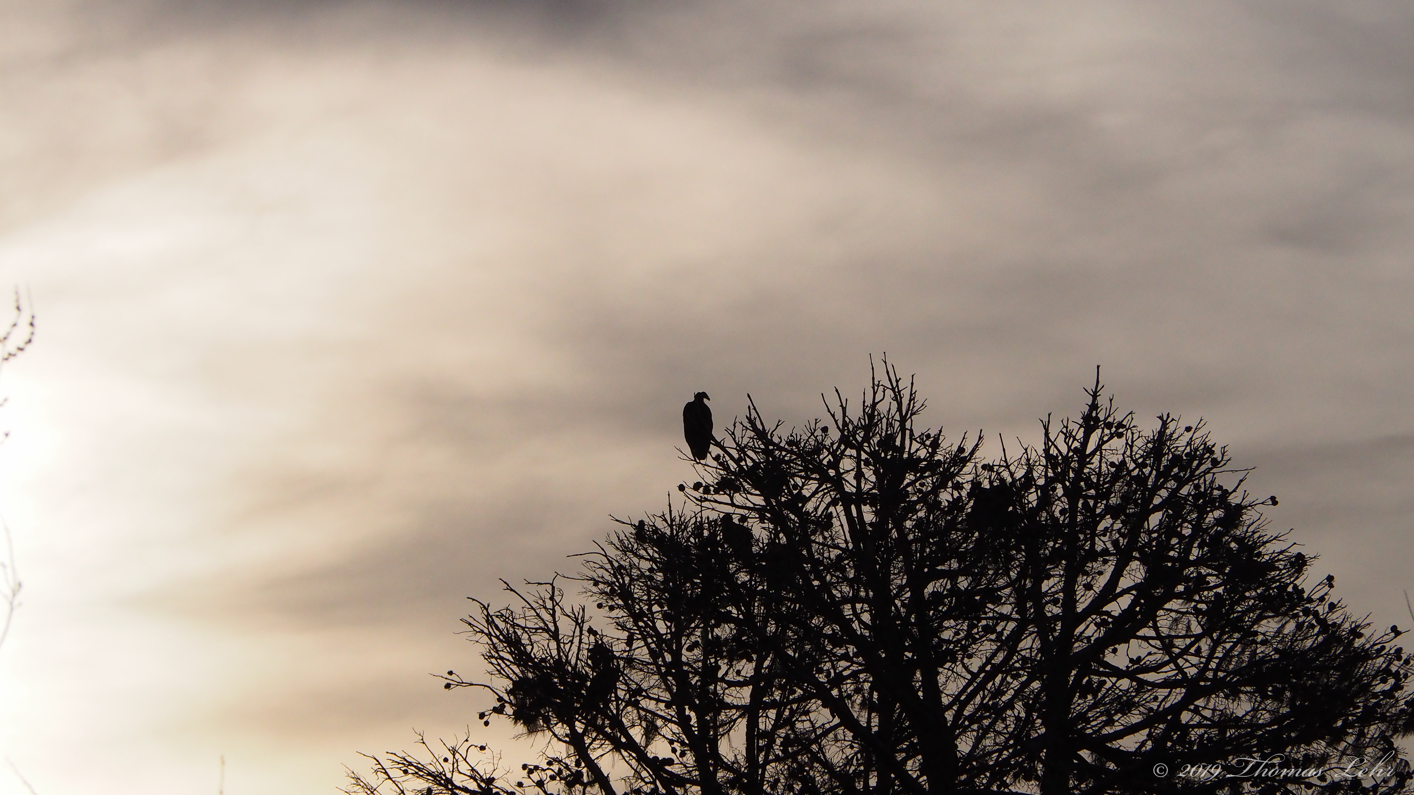 I’ve kissed lips darker than yours.