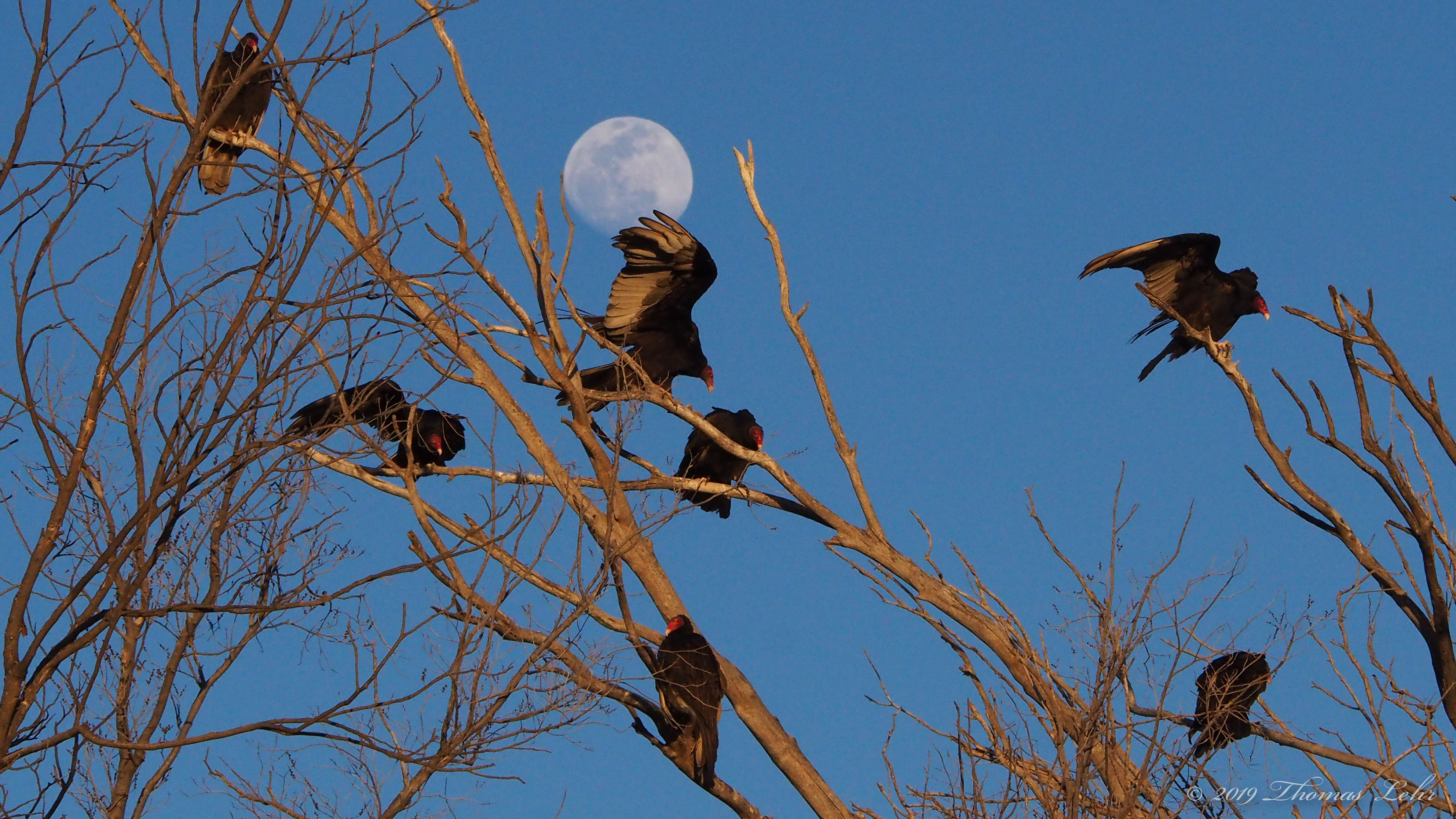 what isn’t burning?