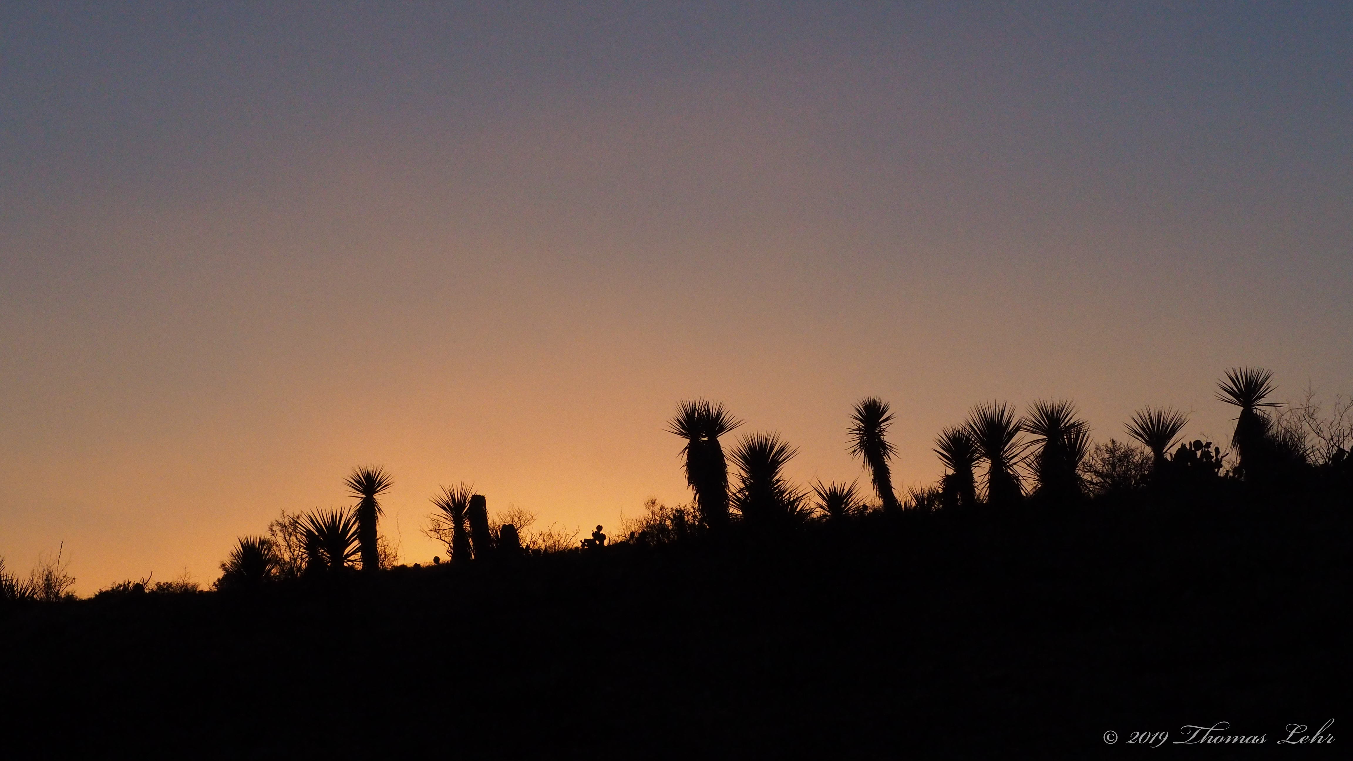 Were all stars to disappear or die,