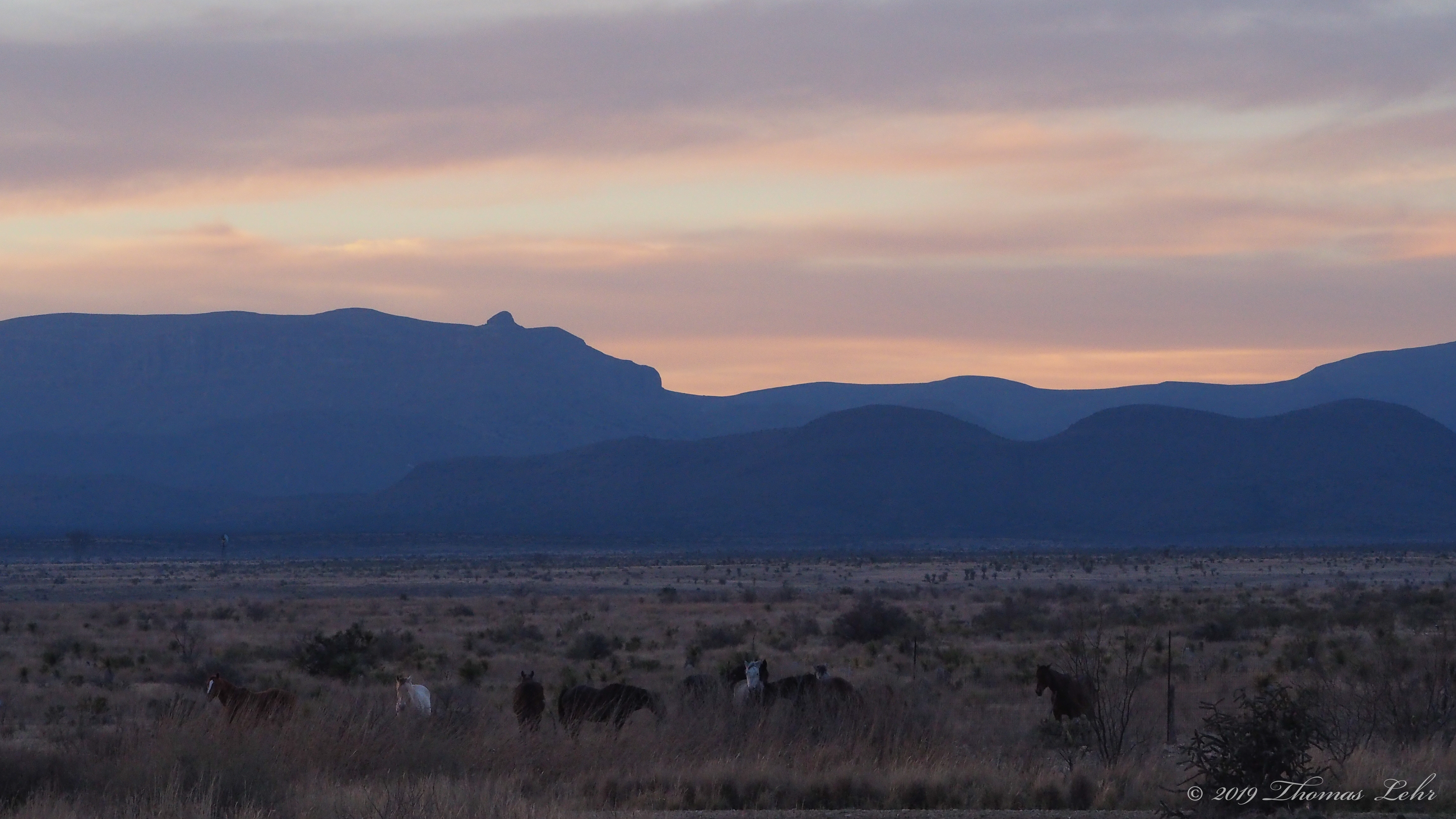 we discover the path by walking.