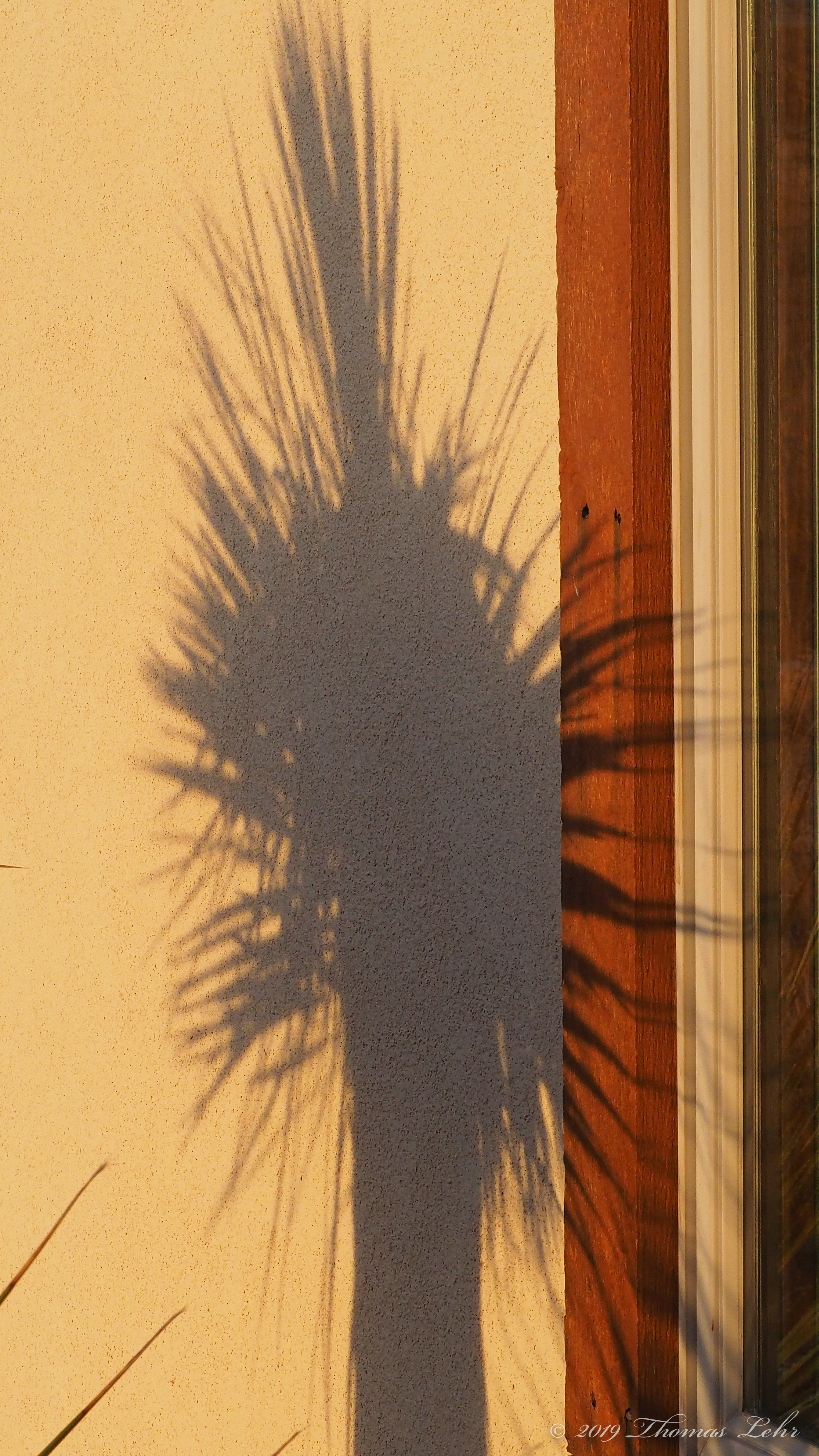 we could have let hope stray, how the story