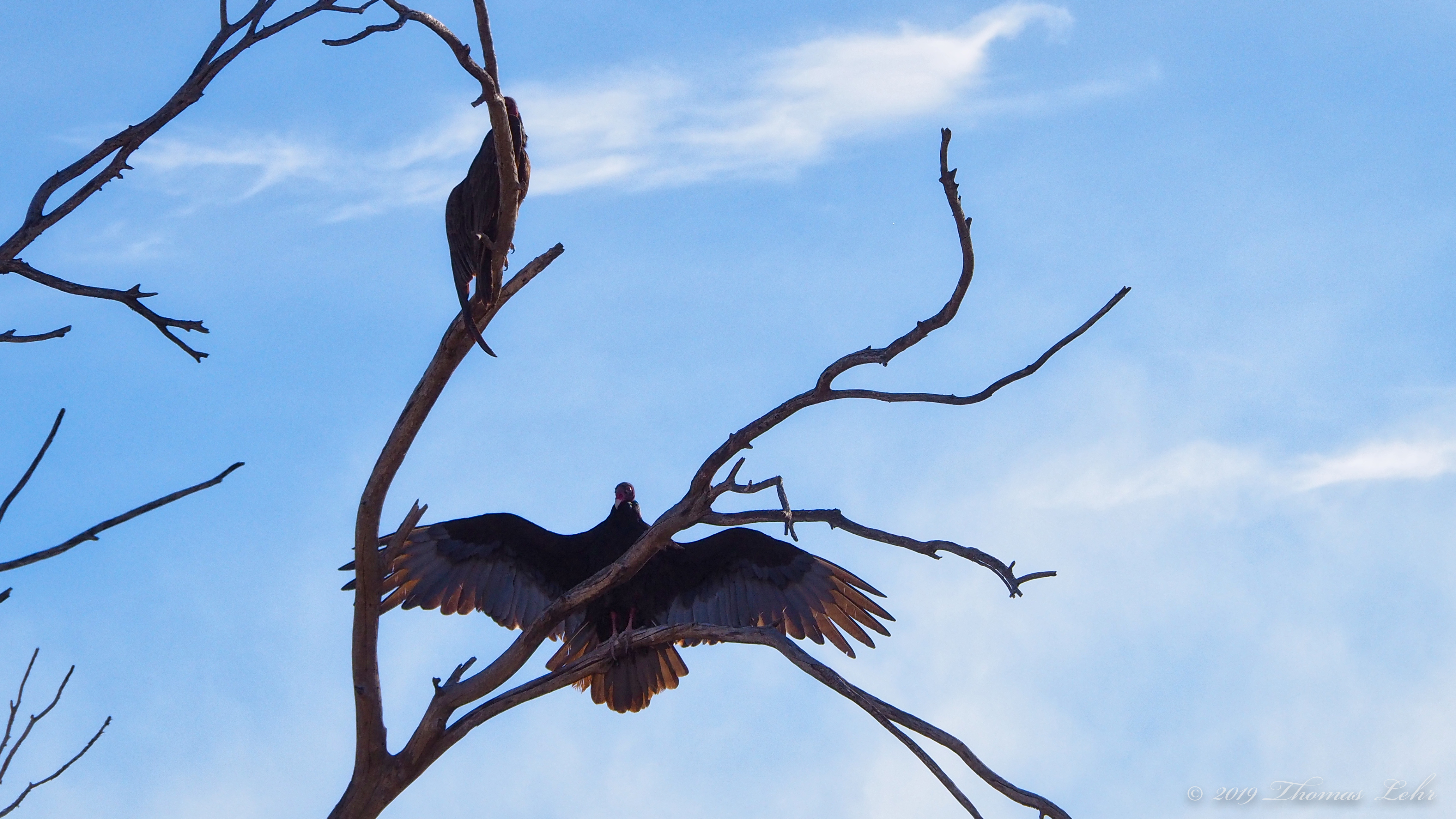 someone gave me a key that opens many doors