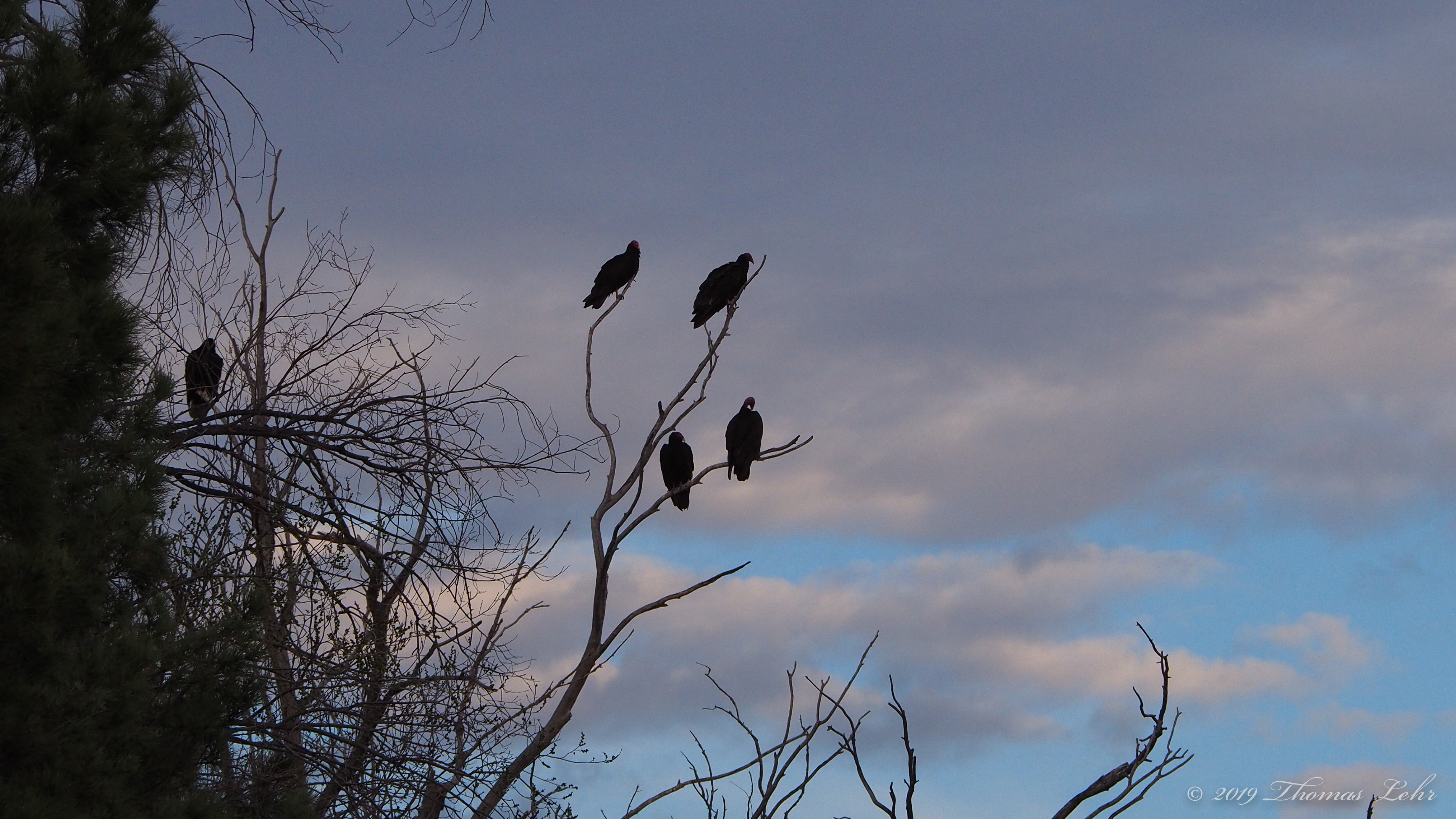 I rap at my want for a door