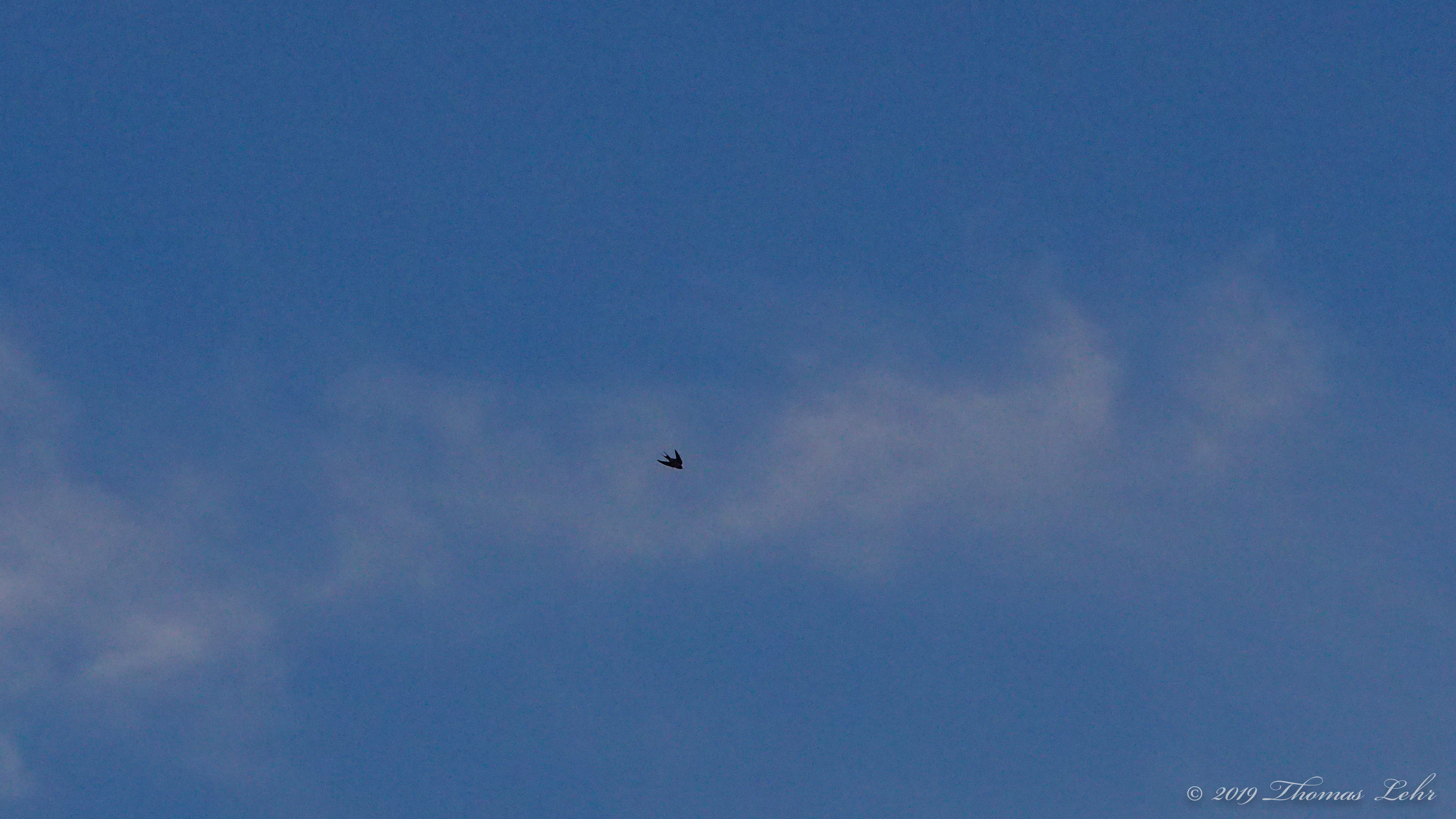 What I have to tell you