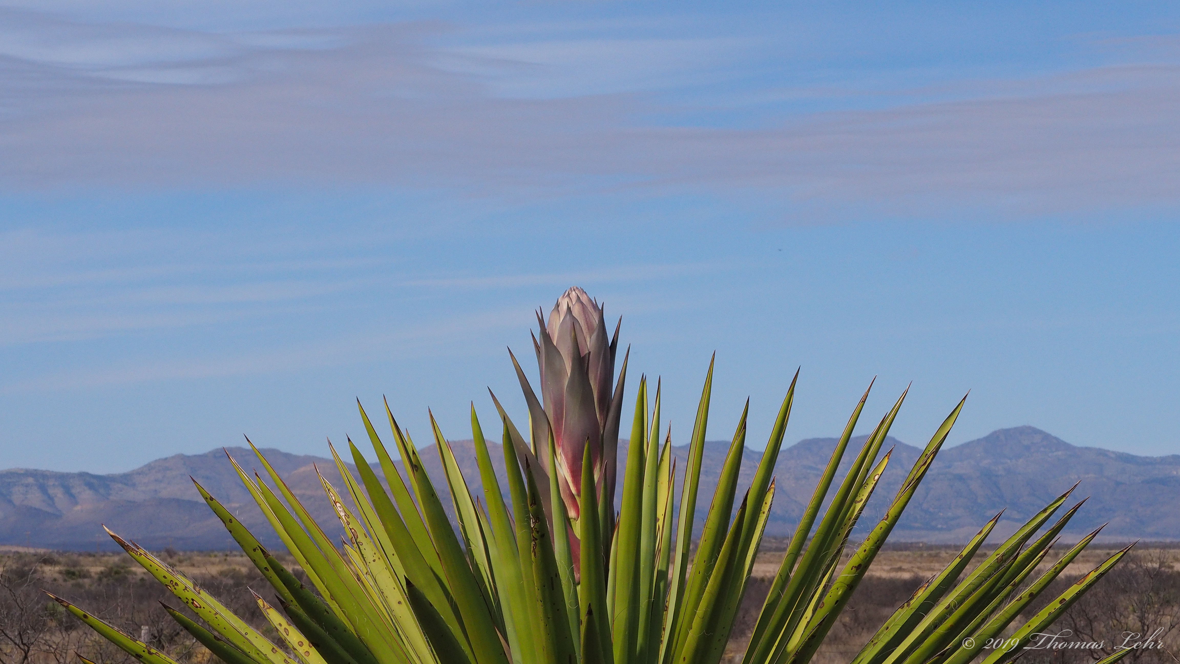 Where it begins will remain a question