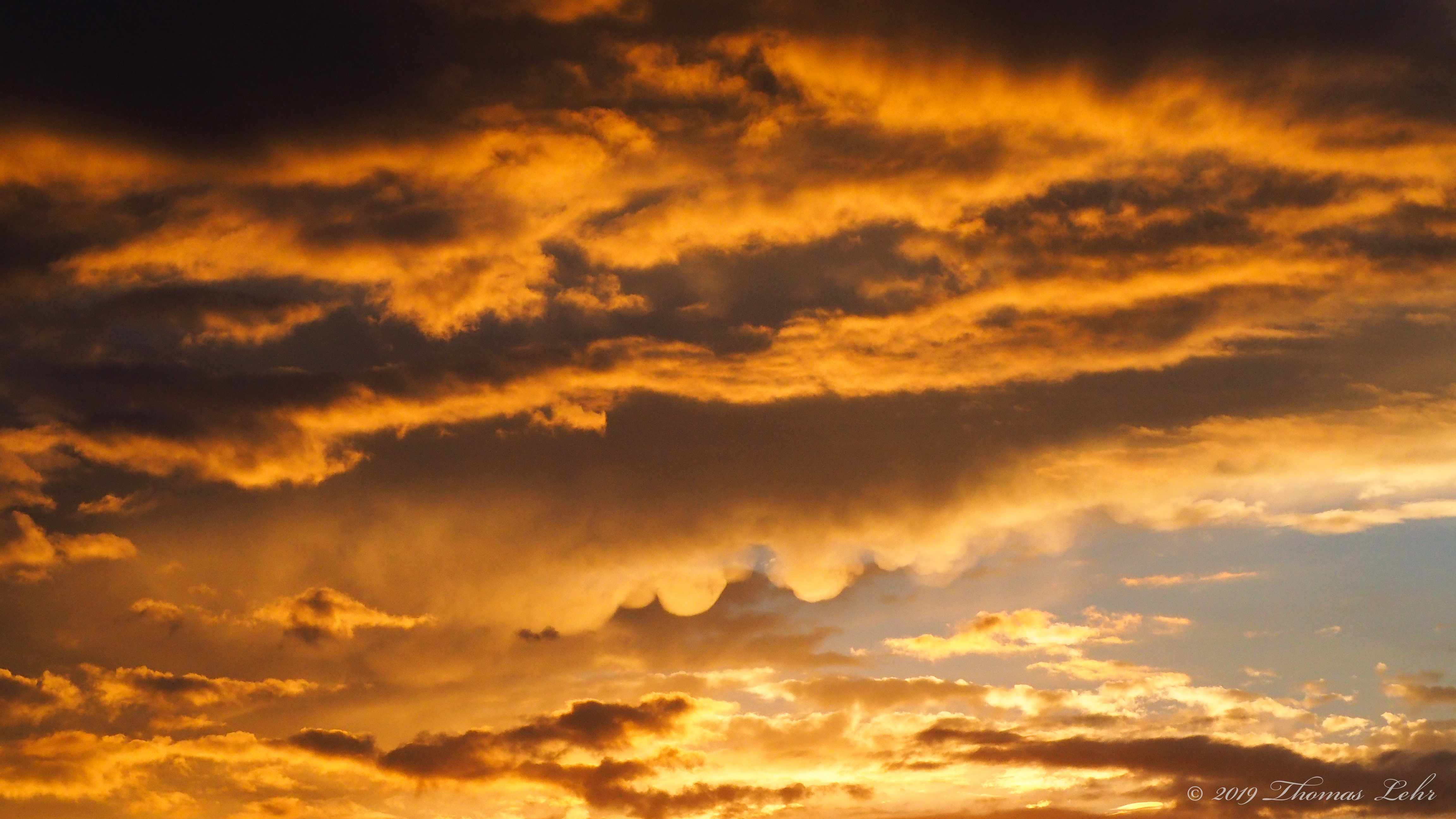 light figured-in too, I’m sure, the weight of light,