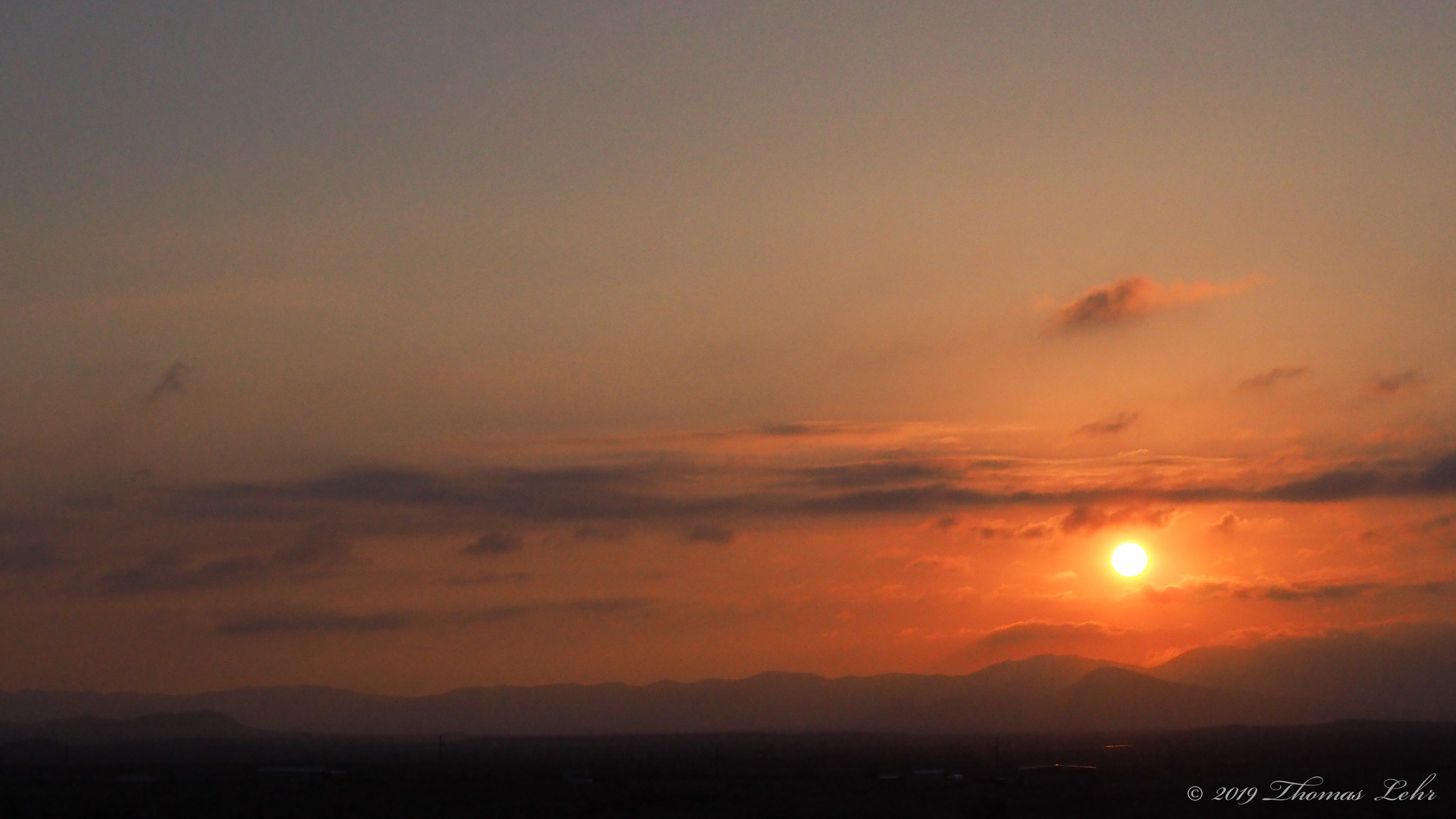 What things are steadfast? Not the birds.