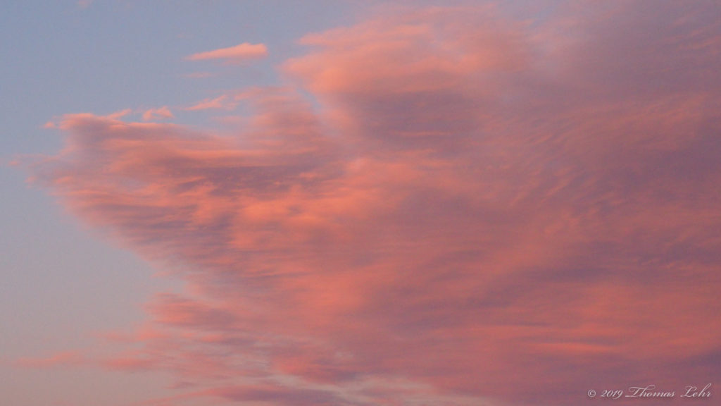 I need to release. —Gregory Orr