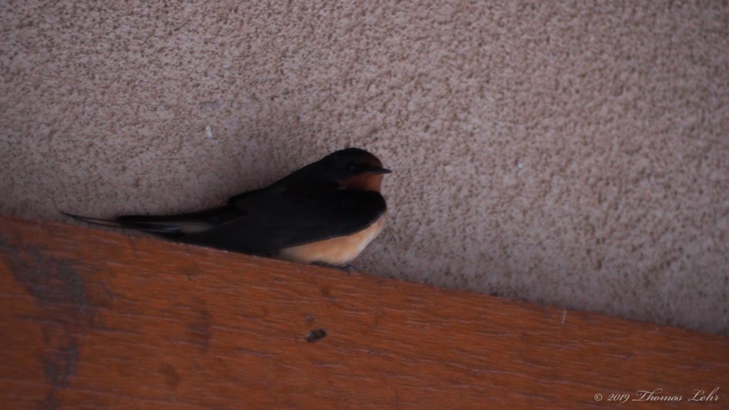 We thought the blood thinned, our weight