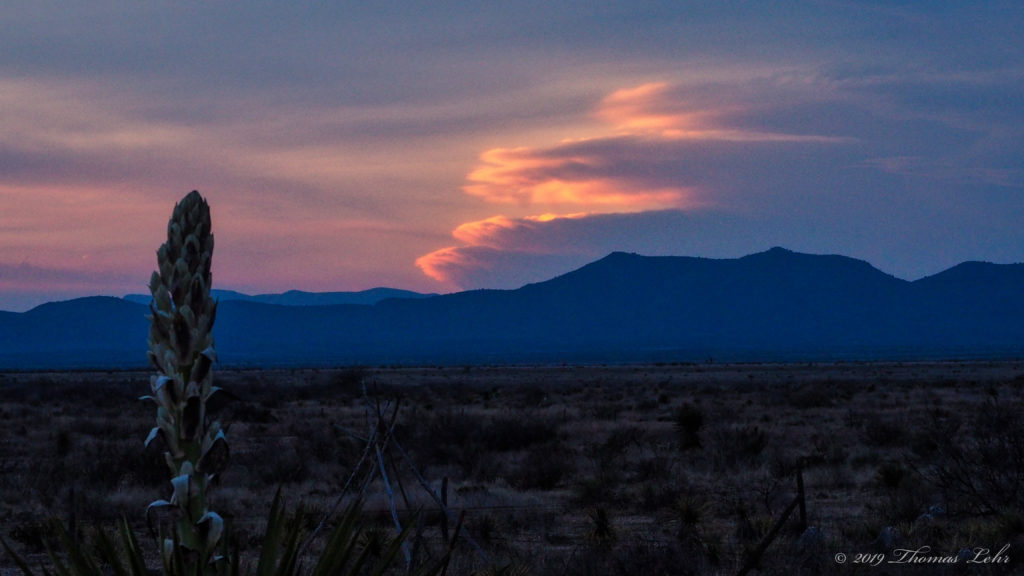 lessened, that our substance was reduced