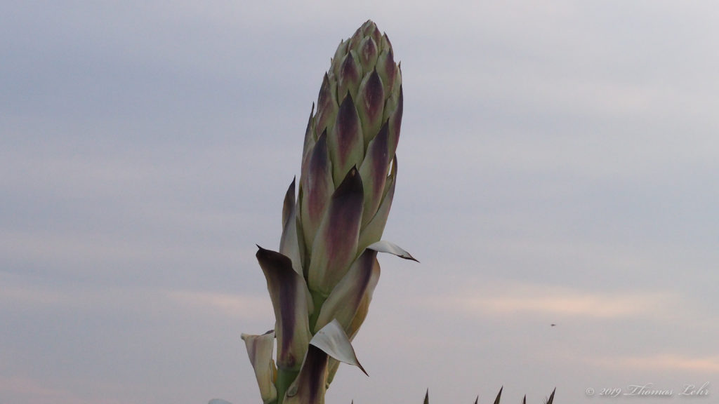 and down at the railroad tracks where the station