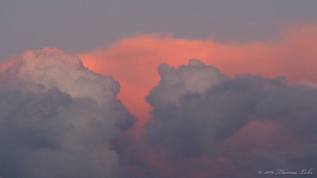 in nonlyrical and nonrhetorical space —Wisława Szymborska, translated by Stanislaw Baranczak and Clare Cavanagh