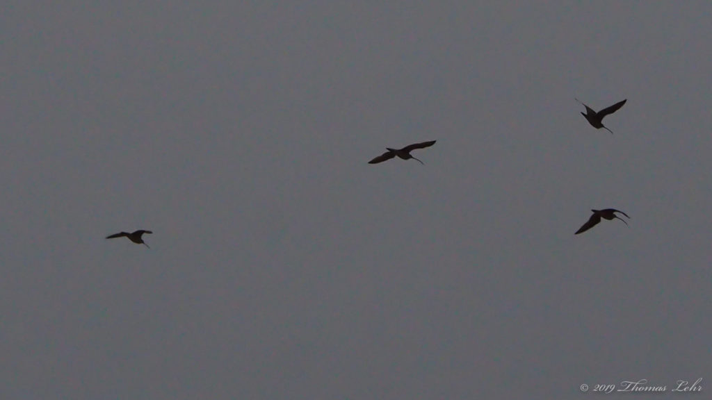 Something I have not done since birth.