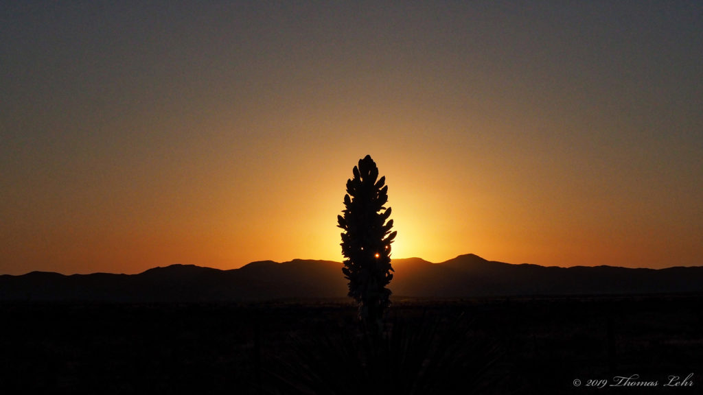 From then on the child saw cirrus colors at dawn, dawn