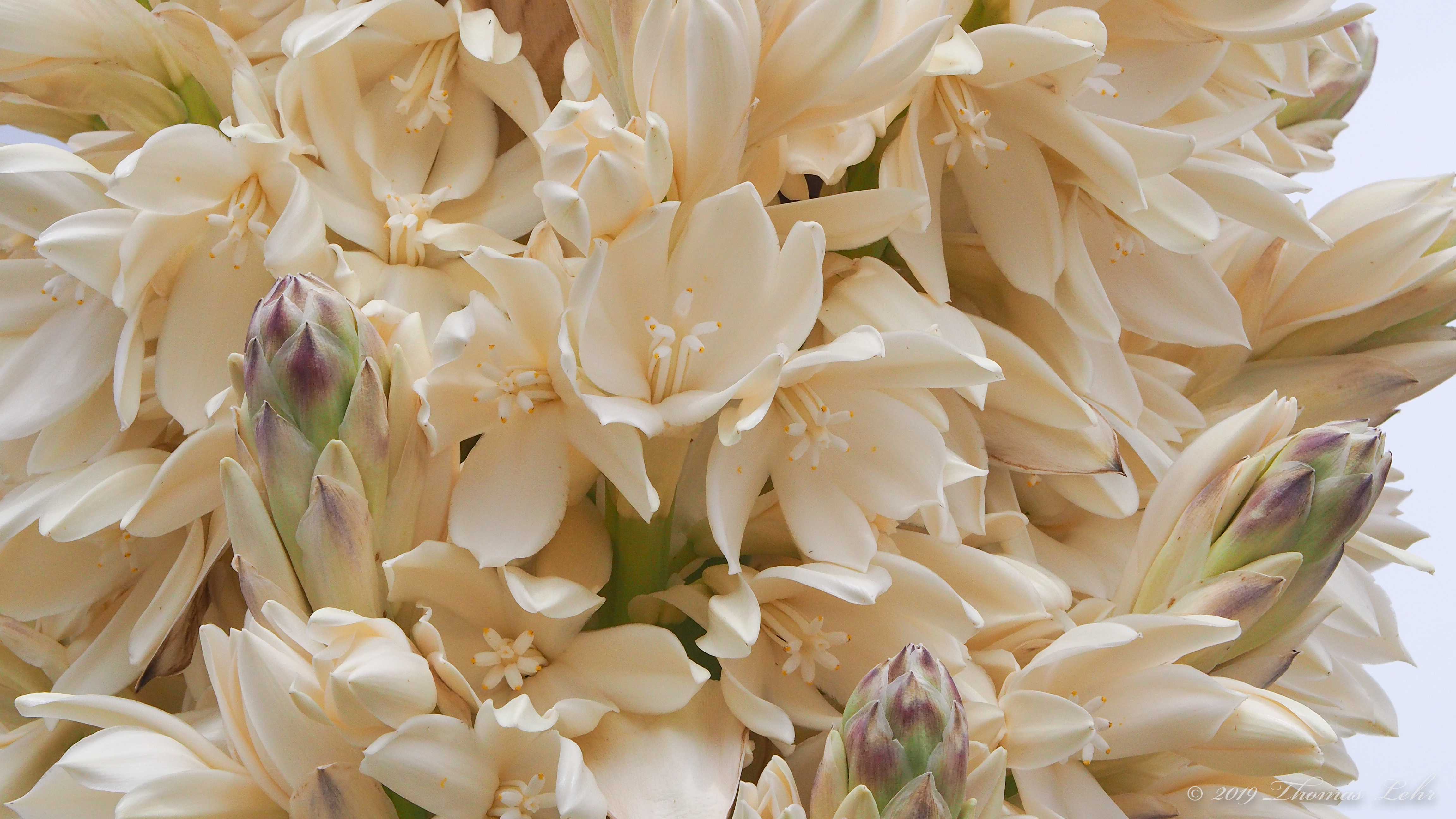 There are days we live