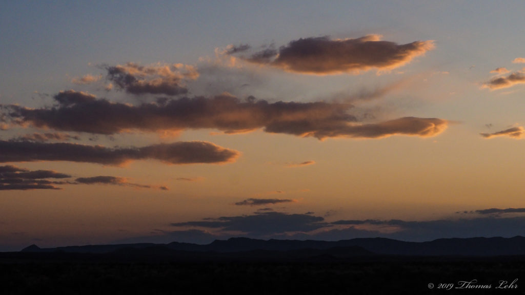 from blossom to blossom to —Li-Young Lee