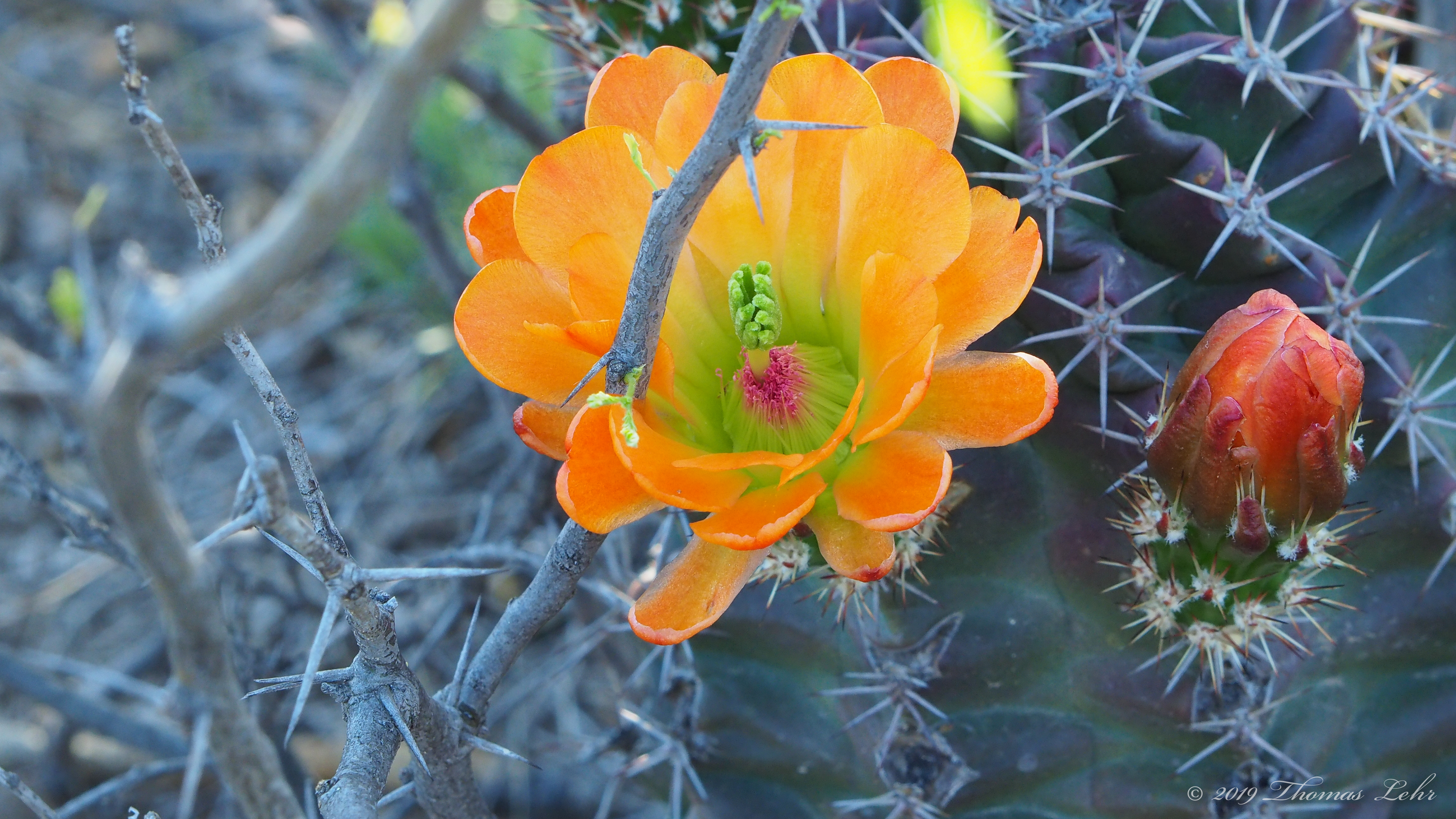 On Earth I had been held,