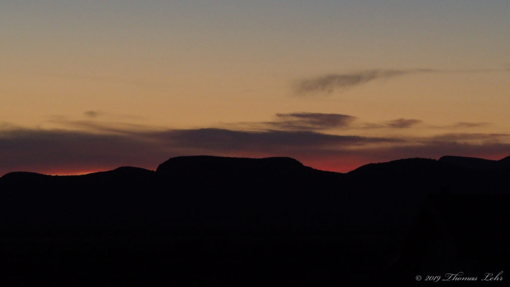 sealed in them like honey sealed in honeycomb cells . . .  —Oksana Zabuzhko, translated by Lisa Sapinkopf