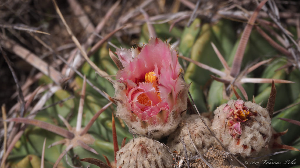 for what is offered, given, what is refused, what is lost