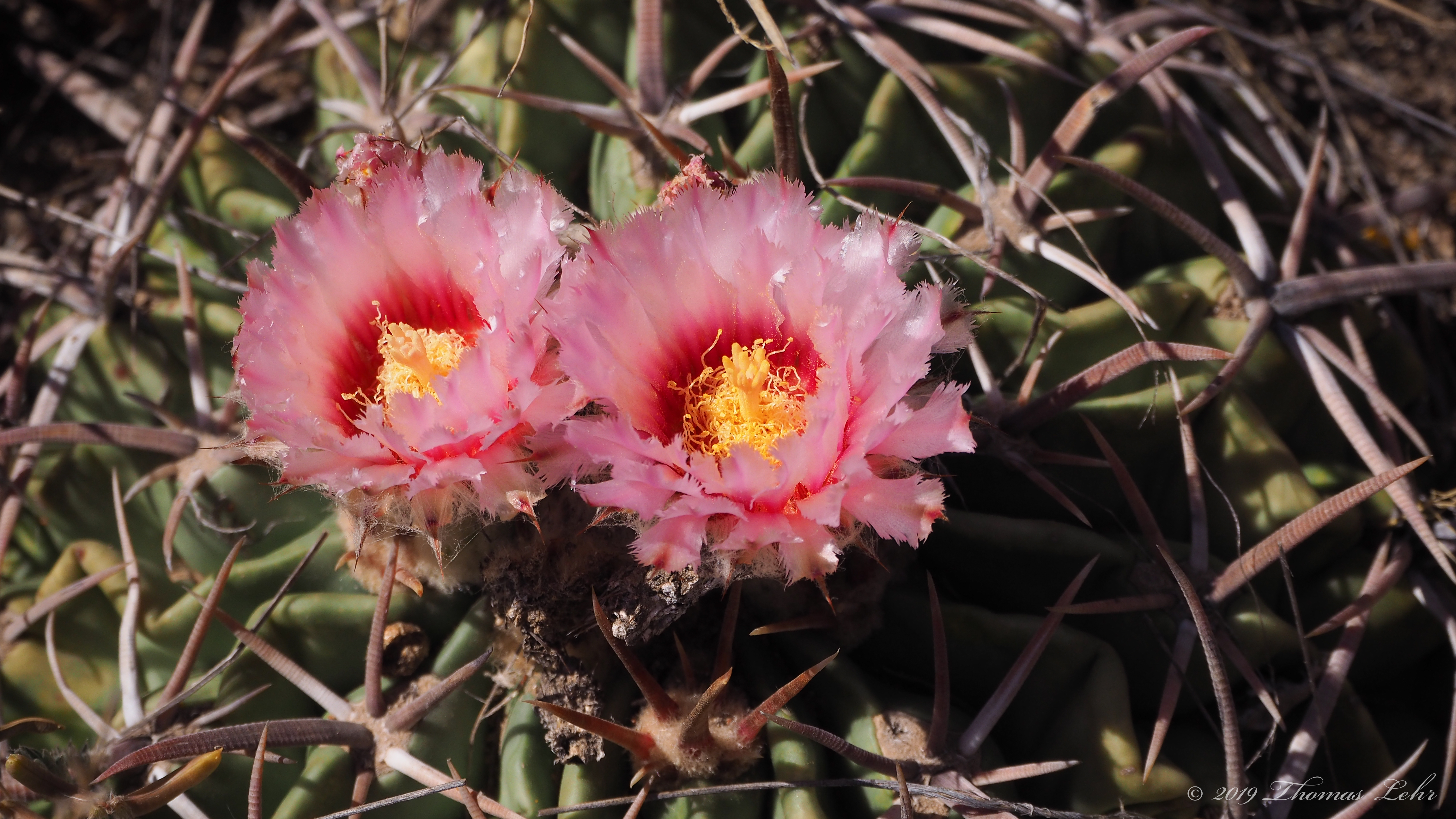 A nothing day full of