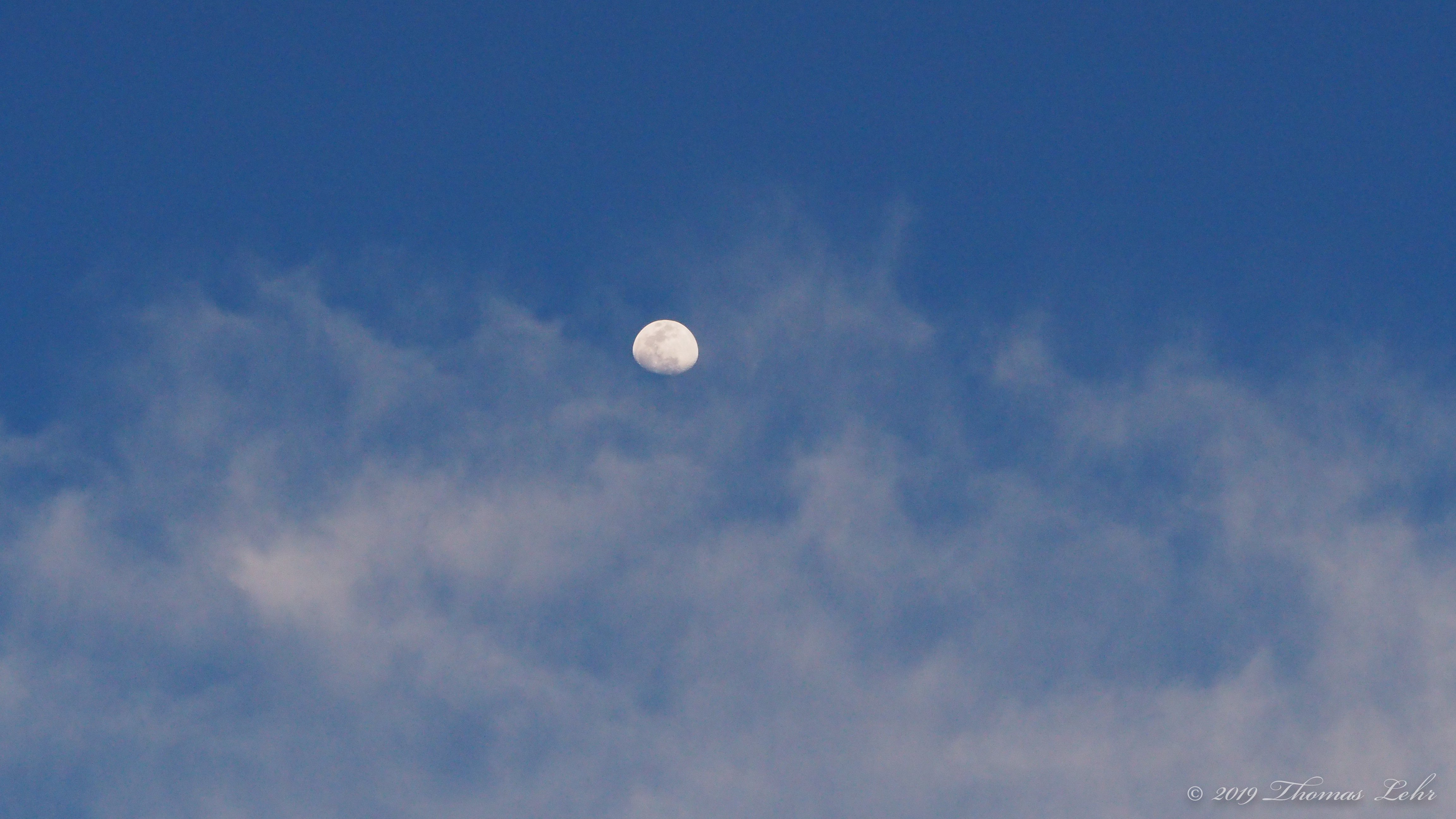 Is a wild sostenuto of the heart,