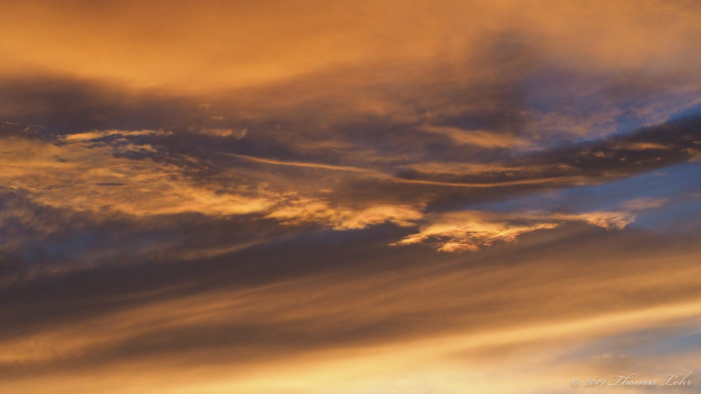 will conclude that none of this is real,